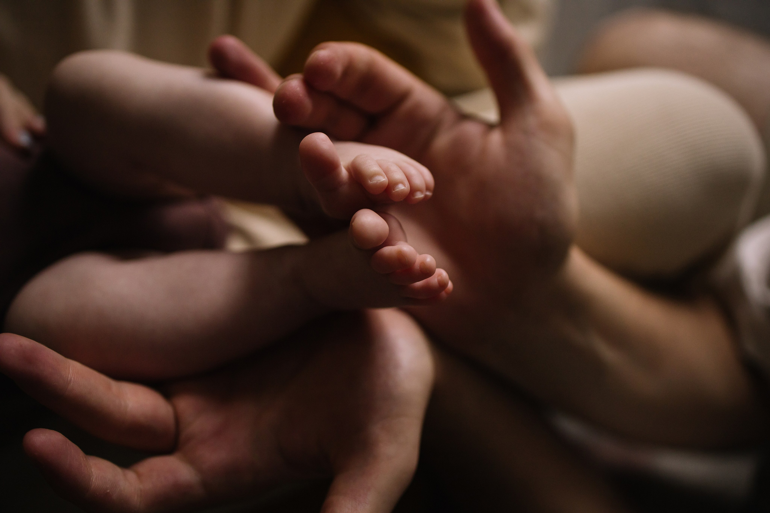 Домашняя семейная фотосессия с младенцем. Семейный фотограф в Томске Максимова Екатерина