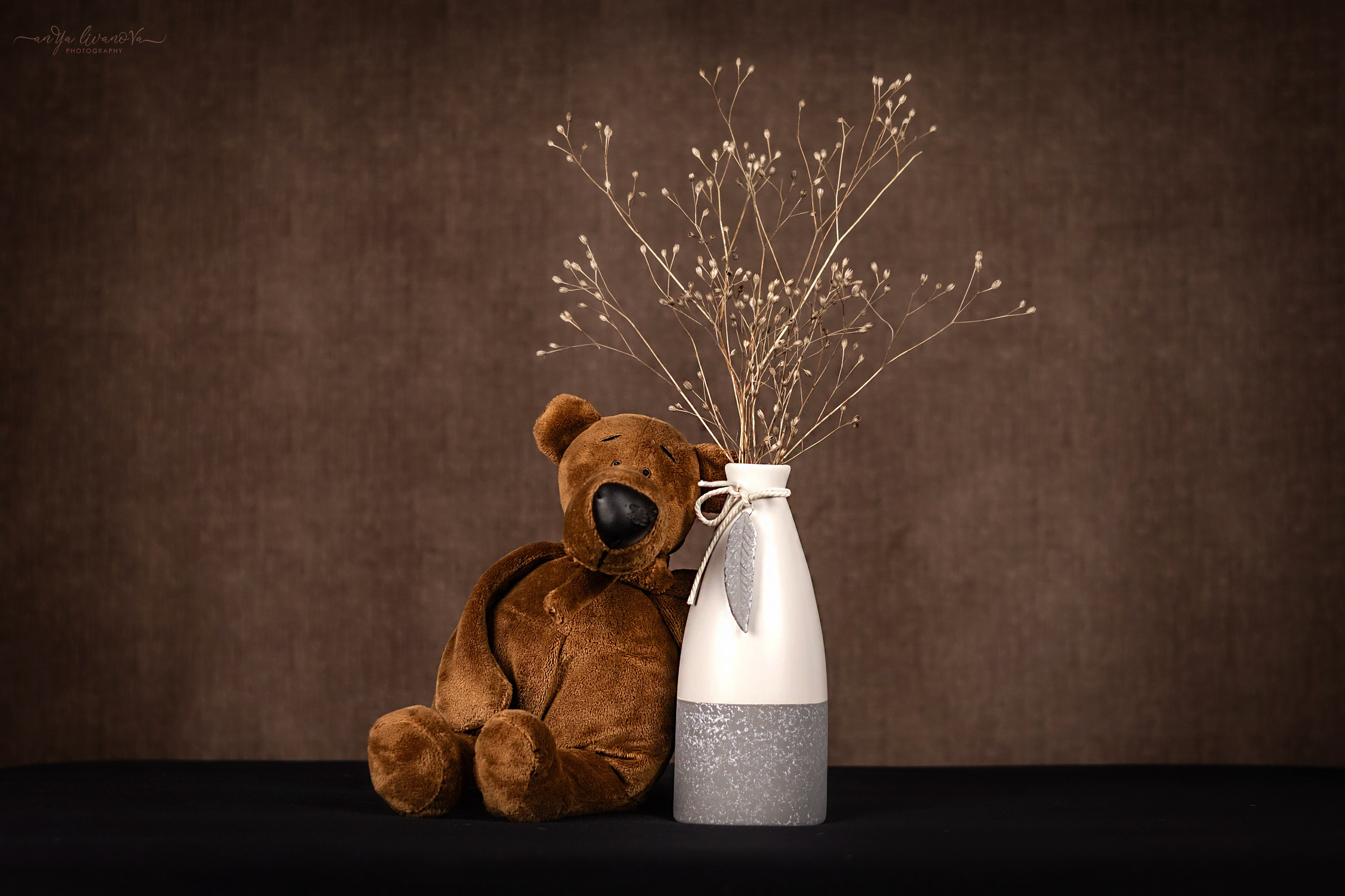 Коричневый фон. Фотограф анималист Аня Ливанова | Рыбинск