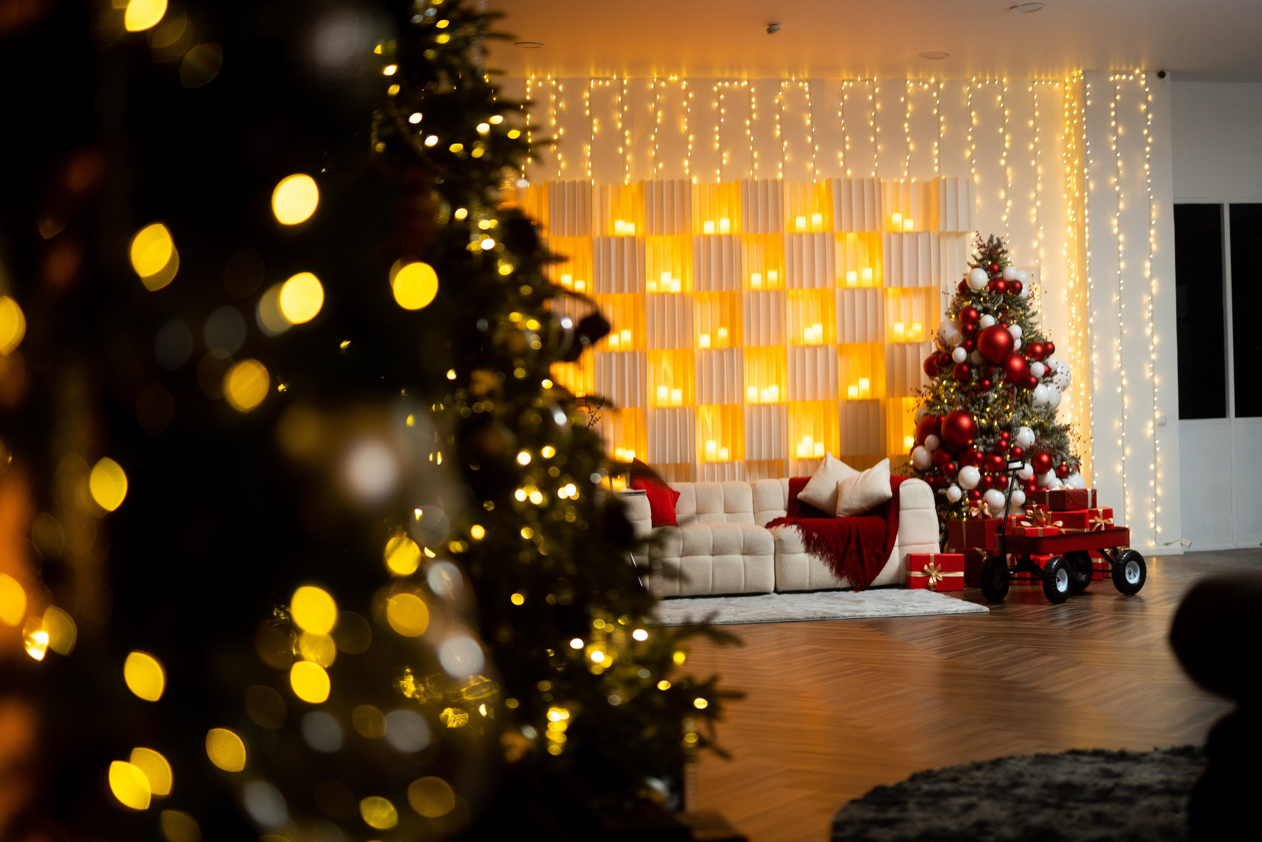 Зал Цветной. Фотограф г. Хабаровск. Семейные и индивидуальные съёмки