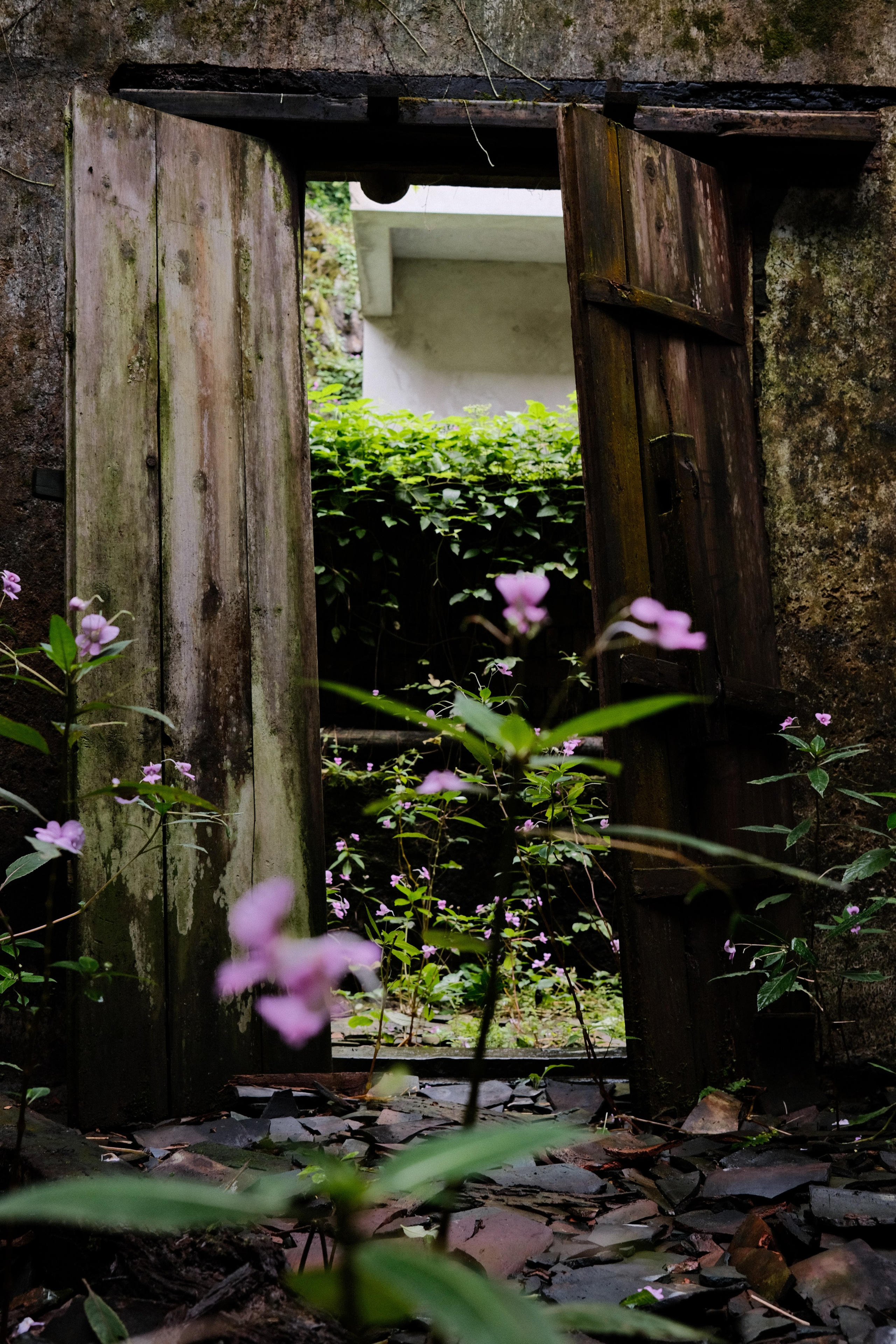 Yangshuo China Guiling. Фотограф В Гуанчжоу и Шэньчжэнь Андрей Лопатин