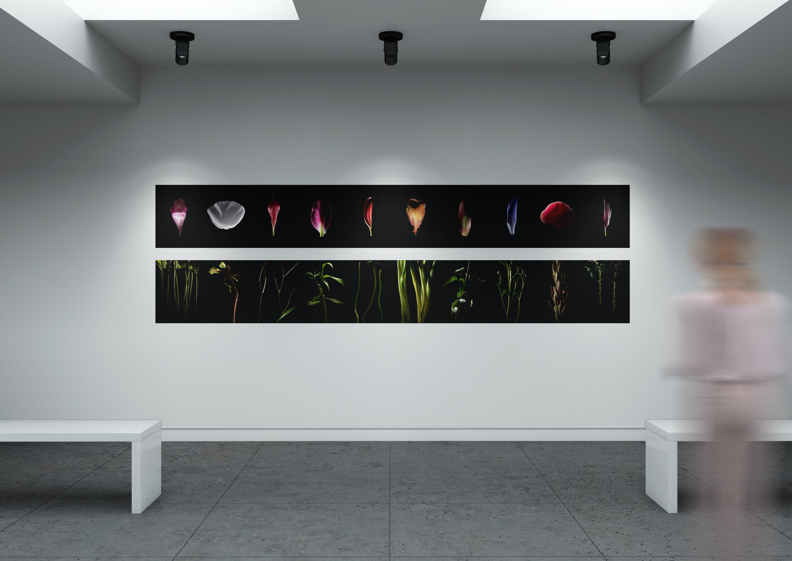 In The Night Garden. Olya Filina | Moscow Photographer