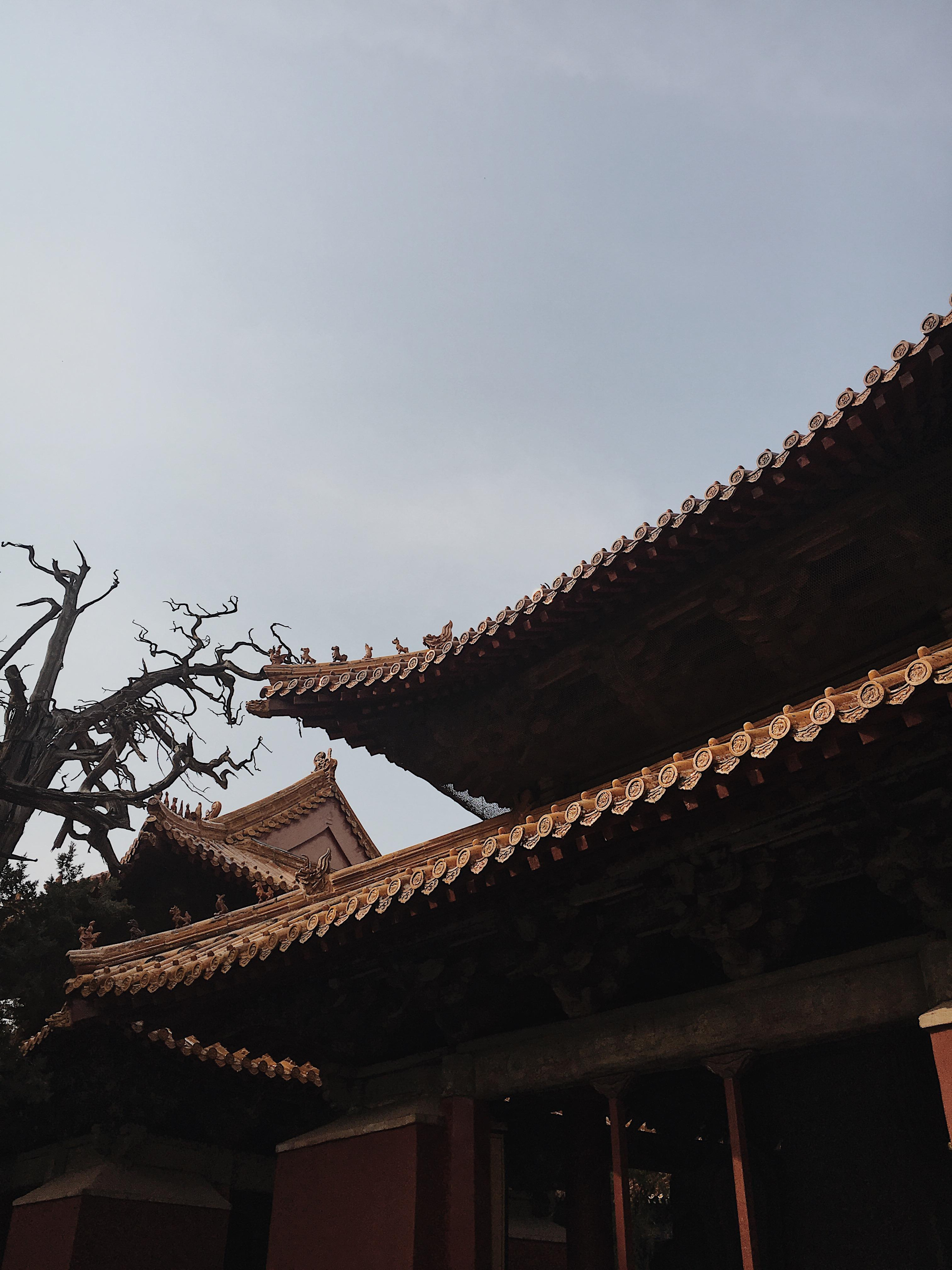 Asia. Olya Filina | Moscow Photographer