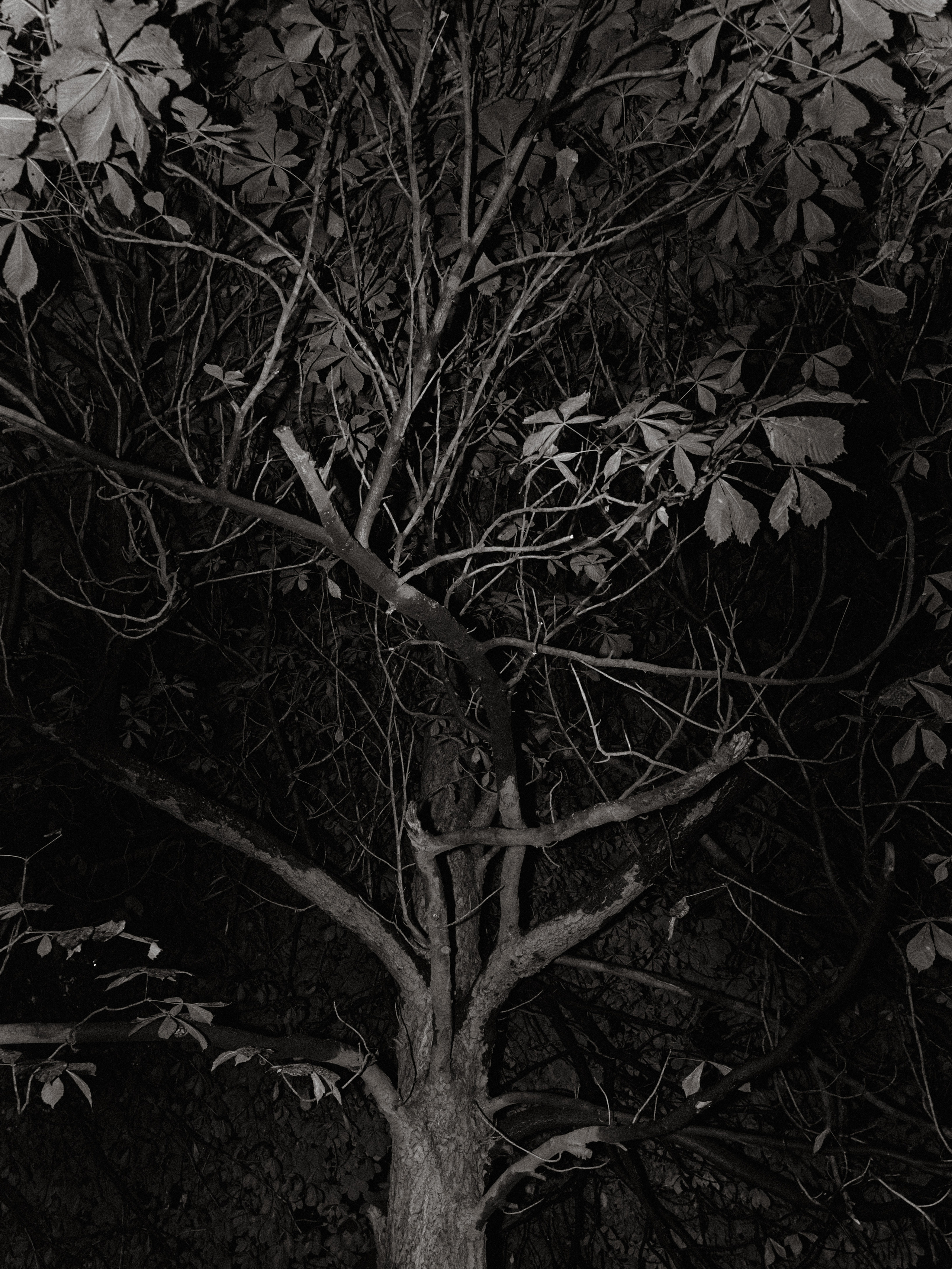 Moscow | bw. Olya Filina | Moscow Photographer