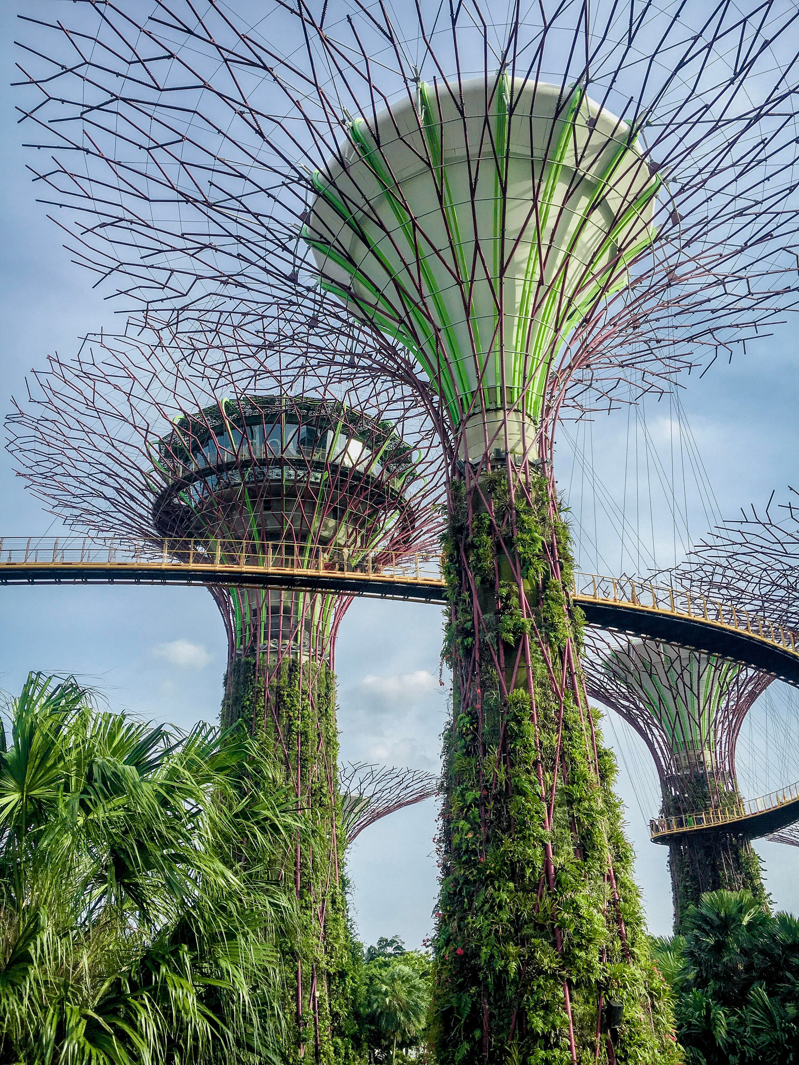 Asia. Olya Filina | Moscow Photographer