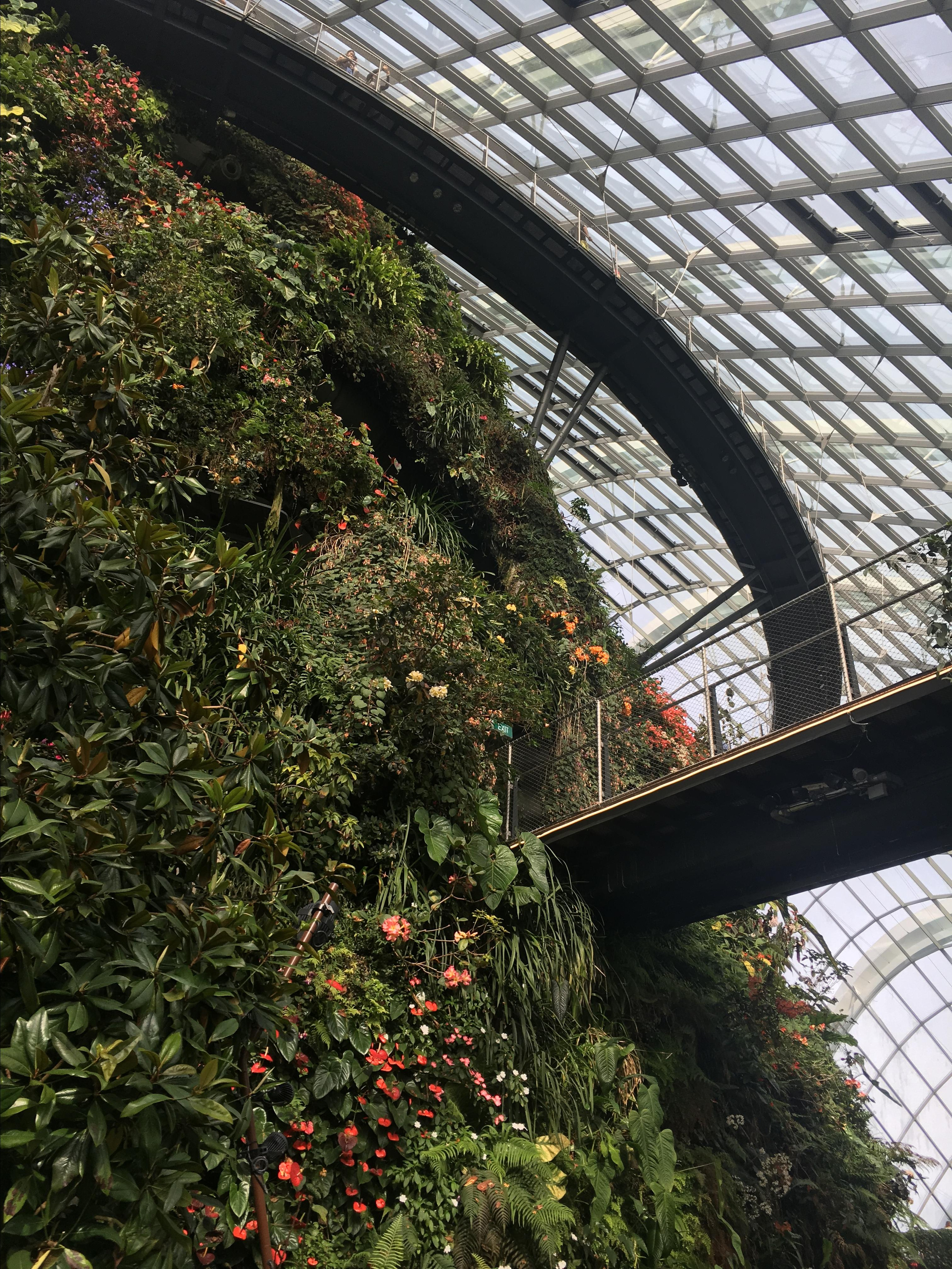 Asia. Olya Filina | Moscow Photographer