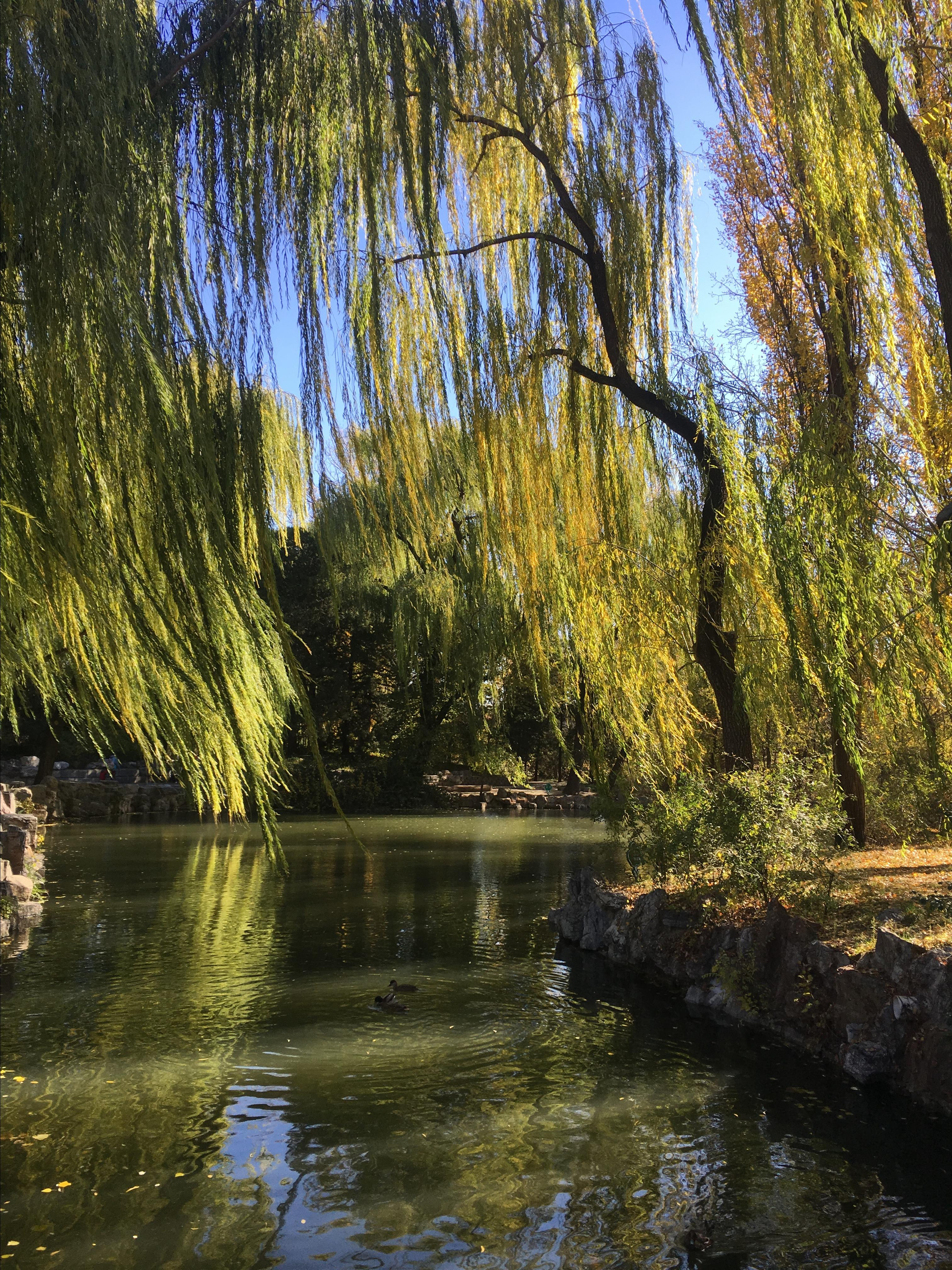 Asia. Olya Filina | Moscow Photographer