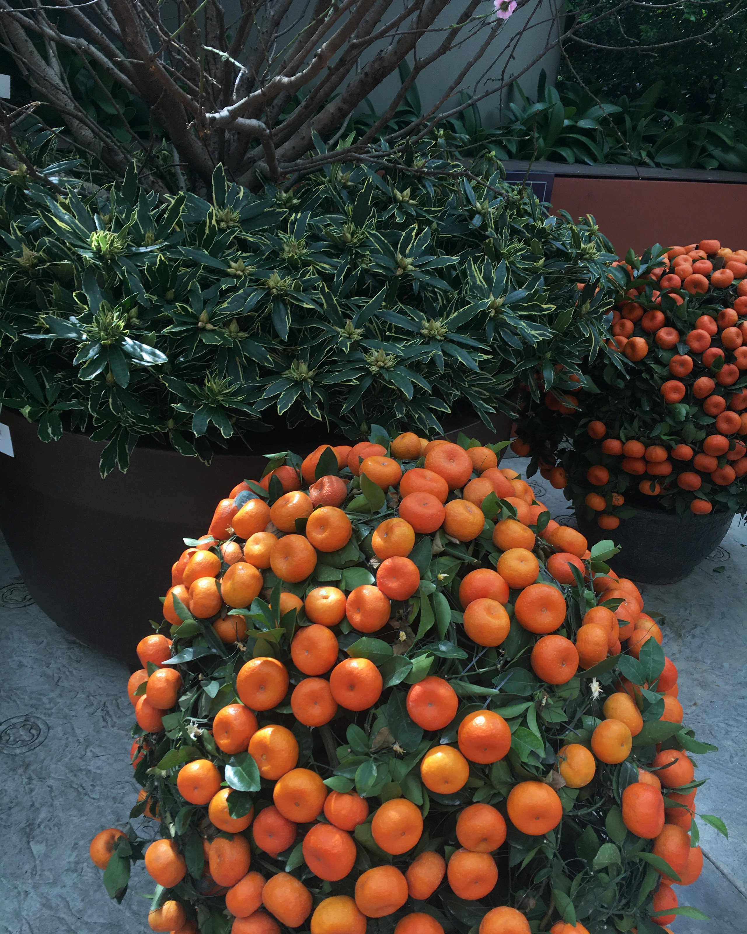 Asia. Olya Filina | Moscow Photographer