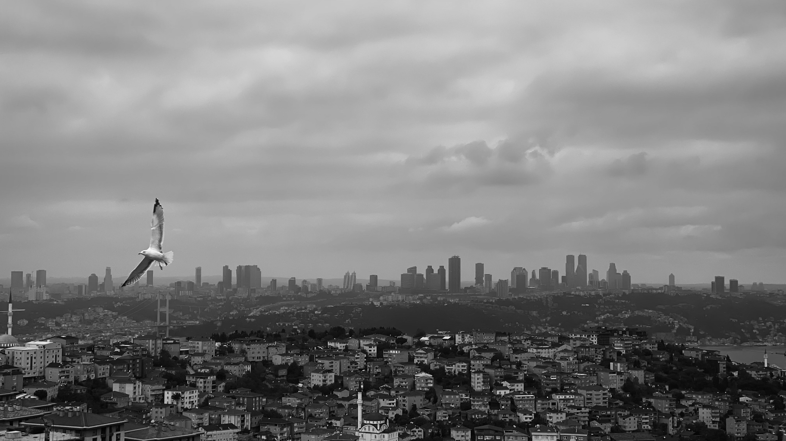 Europe. Olya Filina | Moscow Photographer