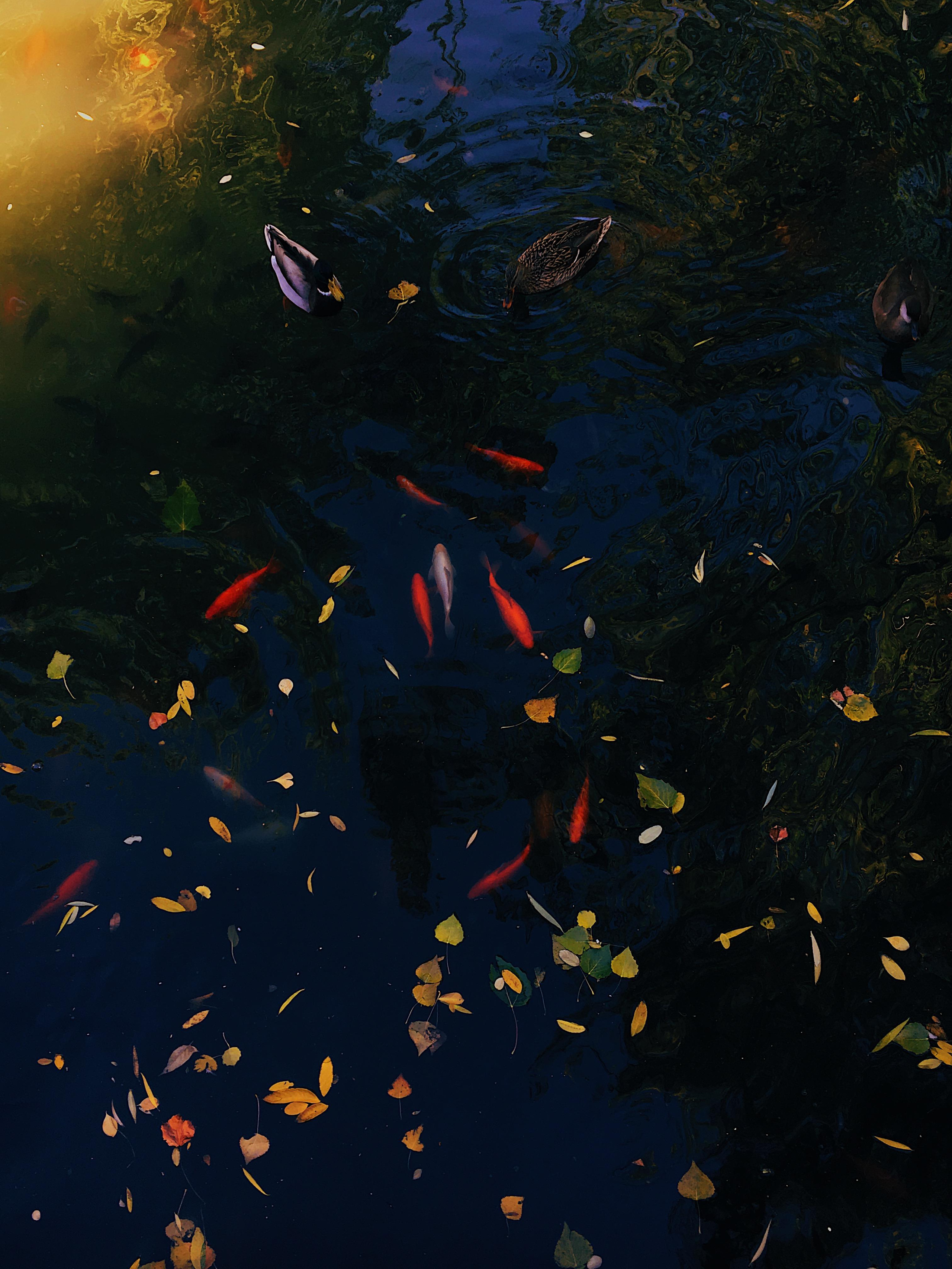 Asia. Olya Filina | Moscow Photographer