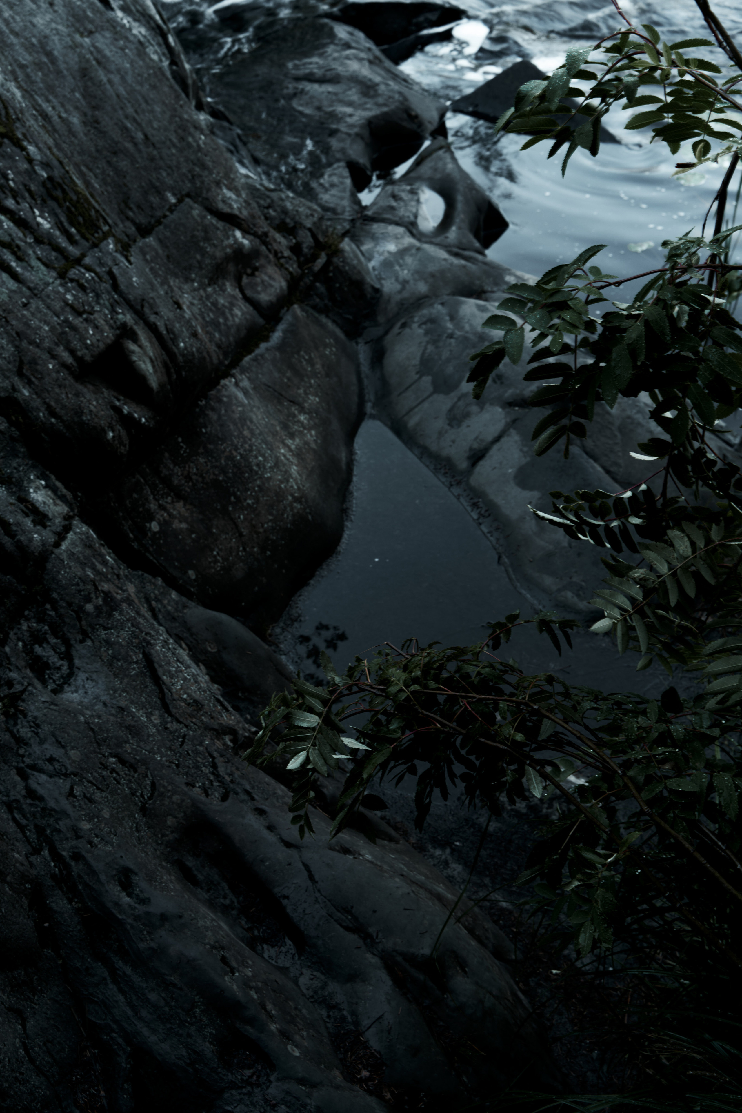 Europe. Olya Filina | Moscow Photographer