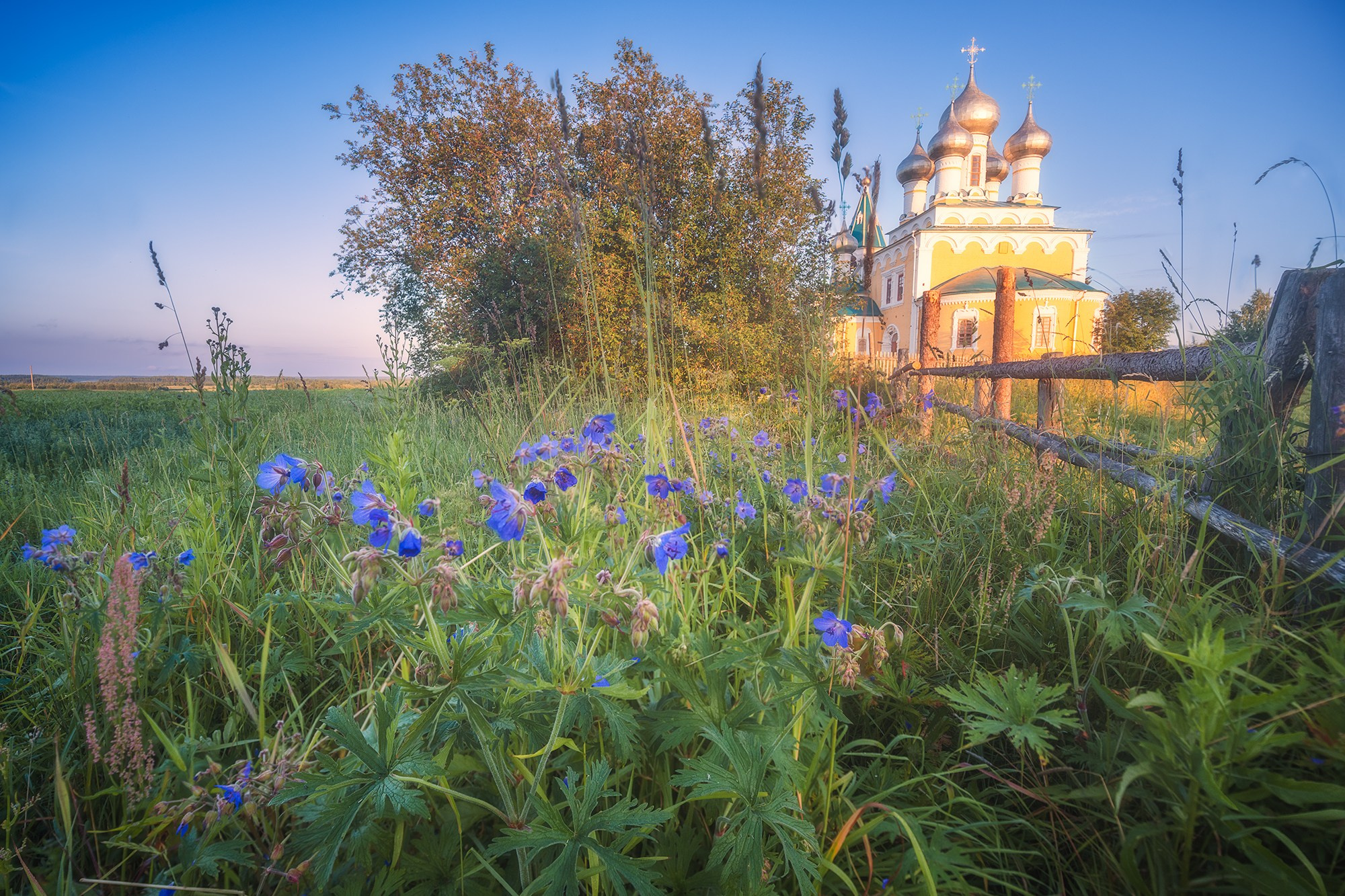Пейзаж. Аэросъемка в Архангельске, Александр Ермолин