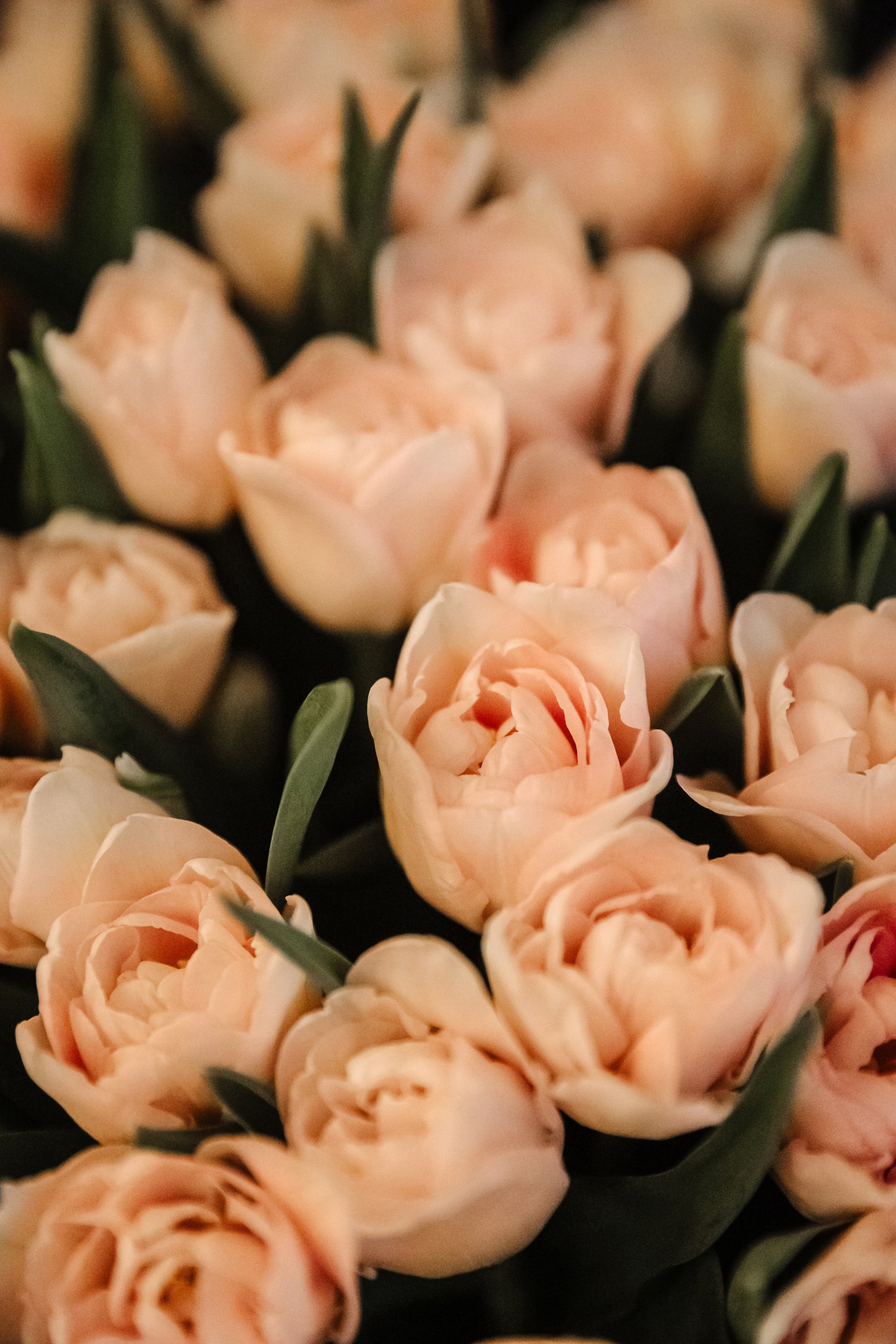 Ирина и Виталий. Свадебный фотограф в Москве Михайлина Настя