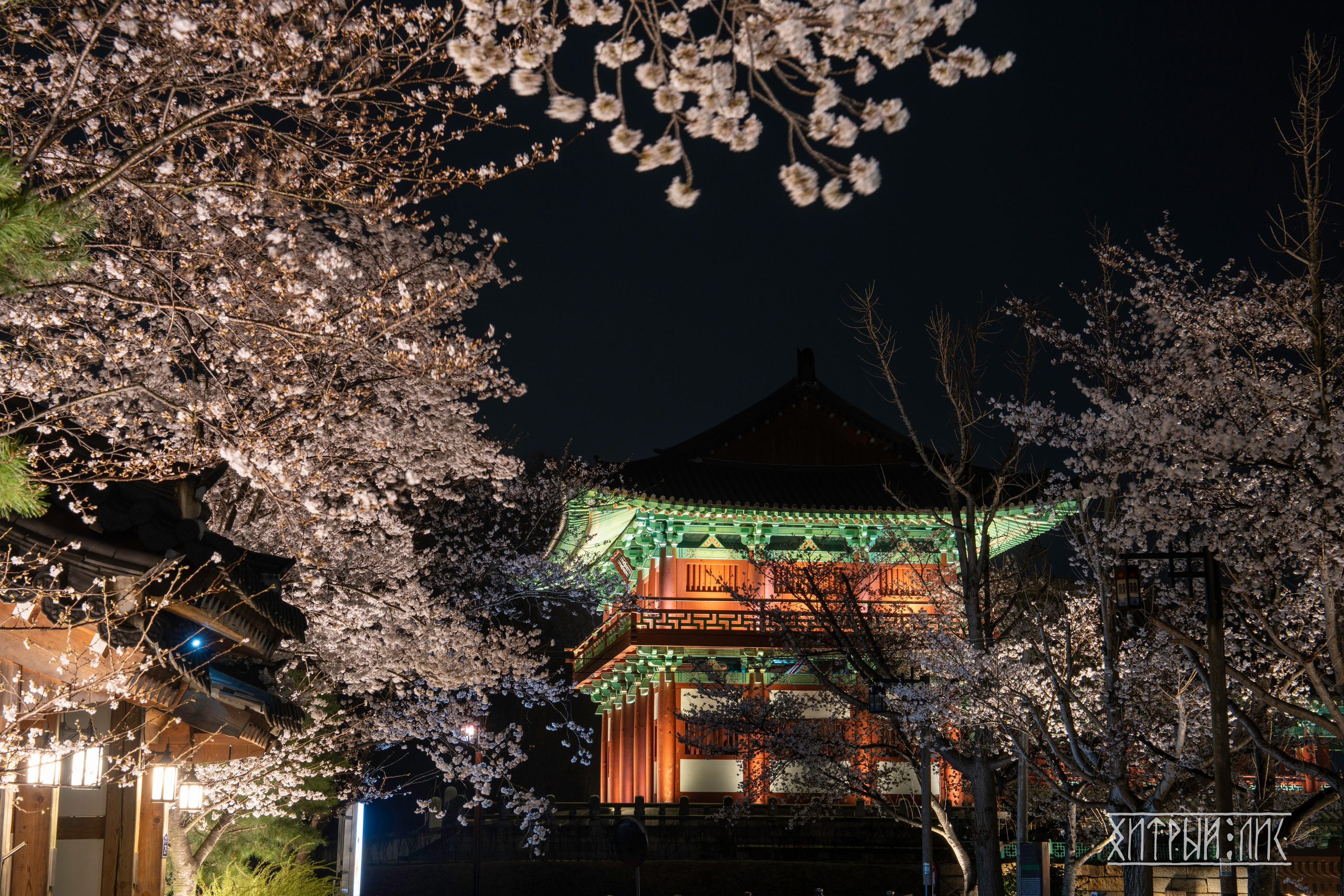 Южная Корея. Фотограф-путешественник Самойлов Максим «Sly Fox»