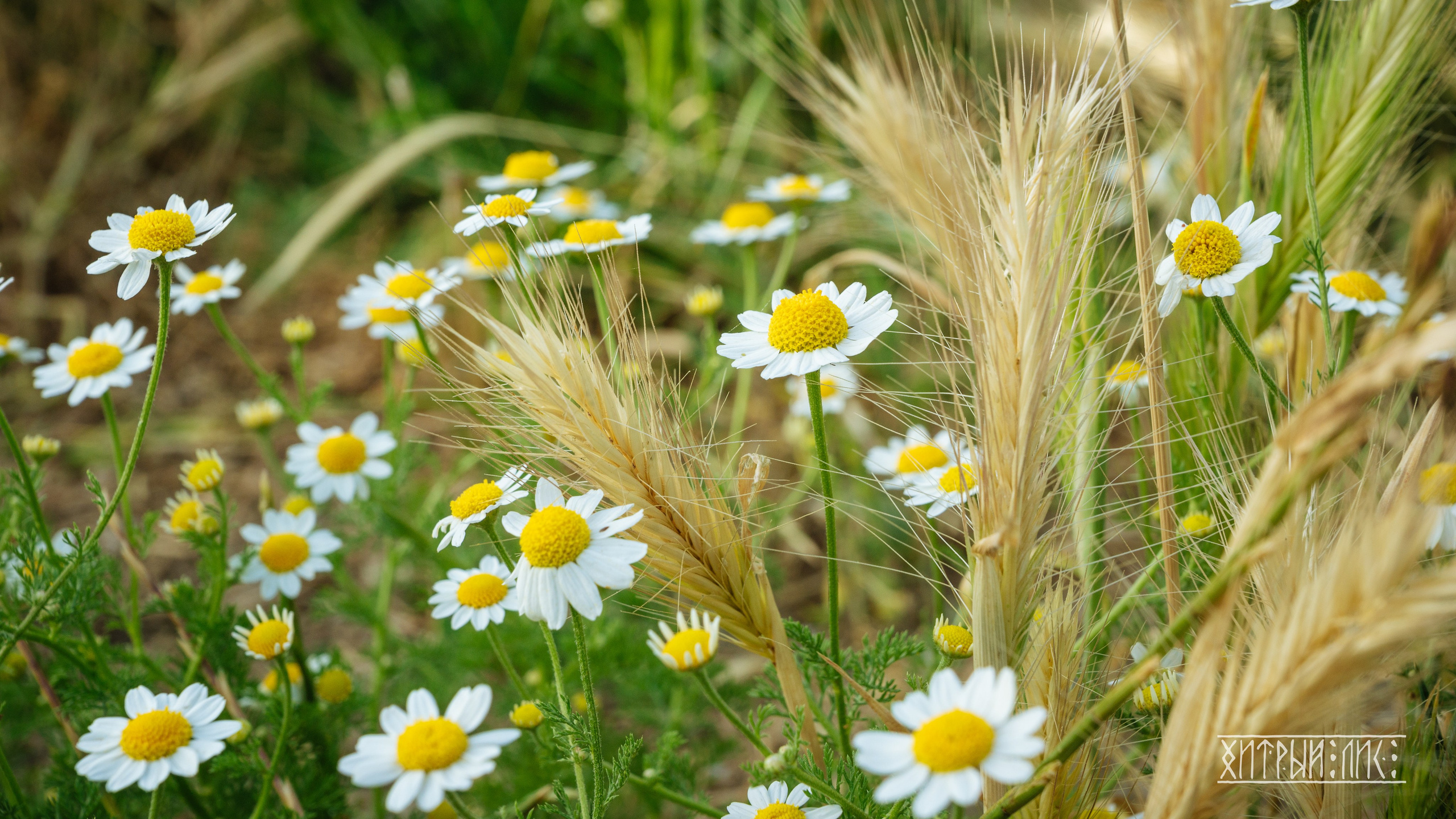 Кипр. Фотограф-путешественник Самойлов Максим «Sly Fox»
