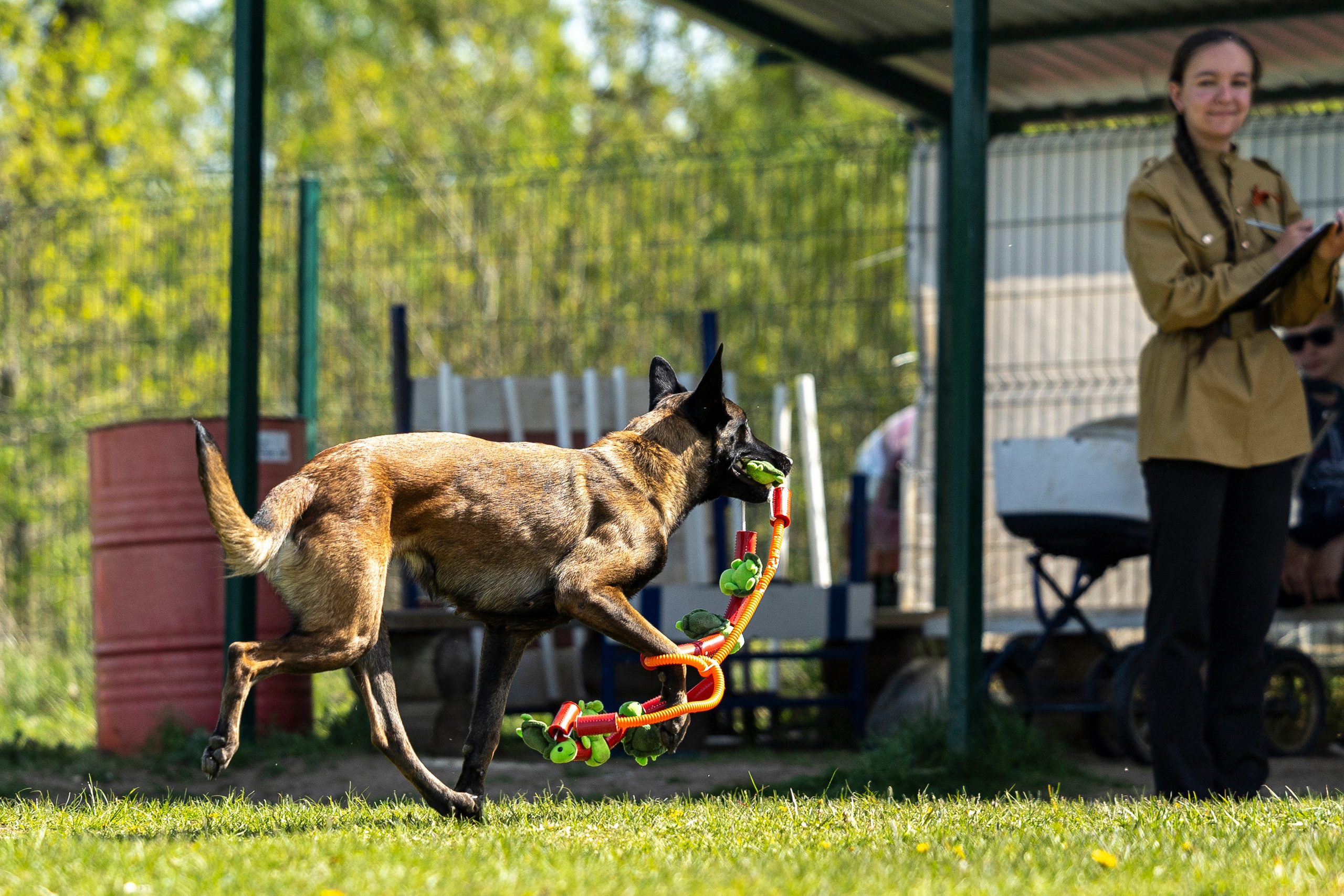 Испытания по мондьорингу в Нижнем Новгороде. Фотограф-анималист Анна Маринич