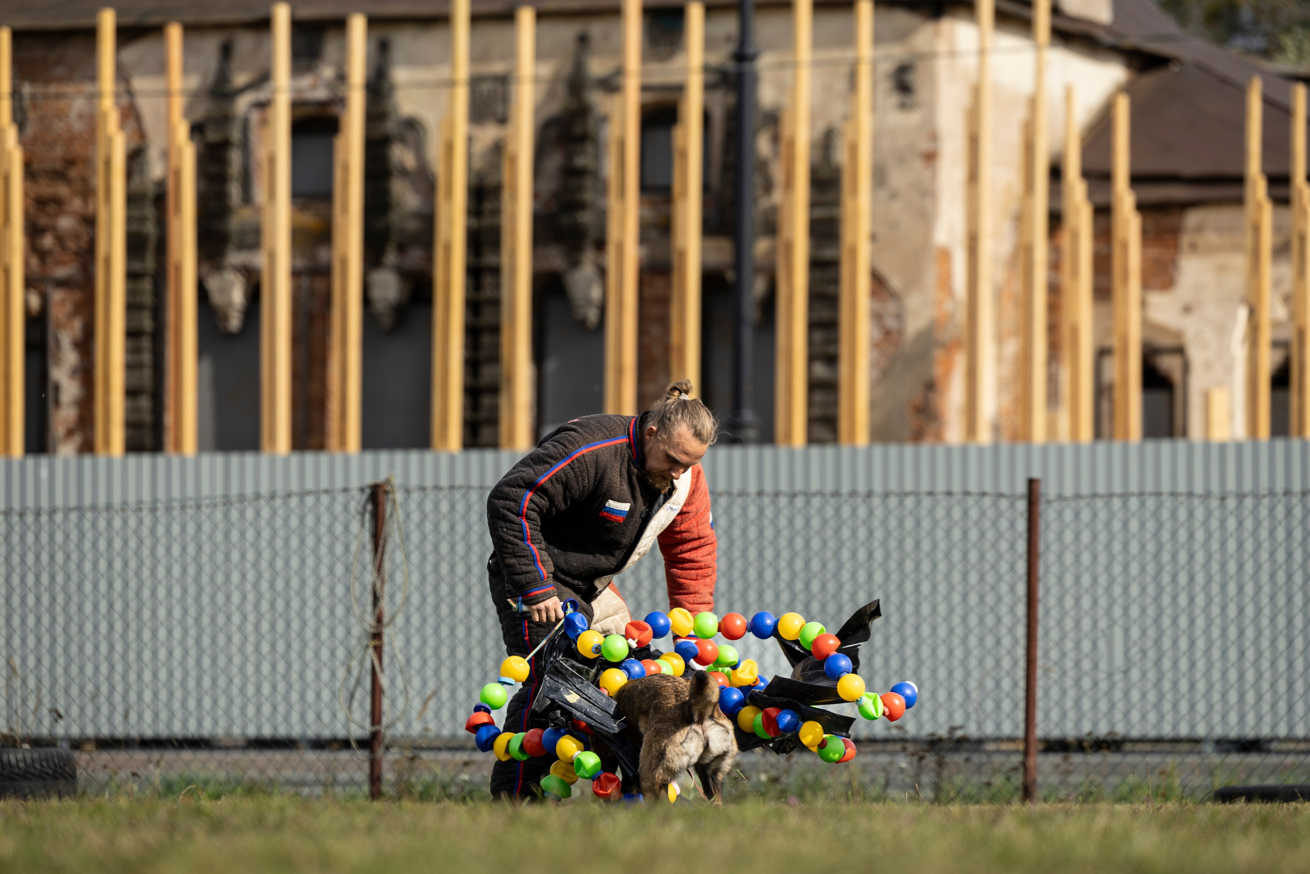 Испытания по Мондьорингу г. Пушкин. Фотограф-анималист Анна Маринич