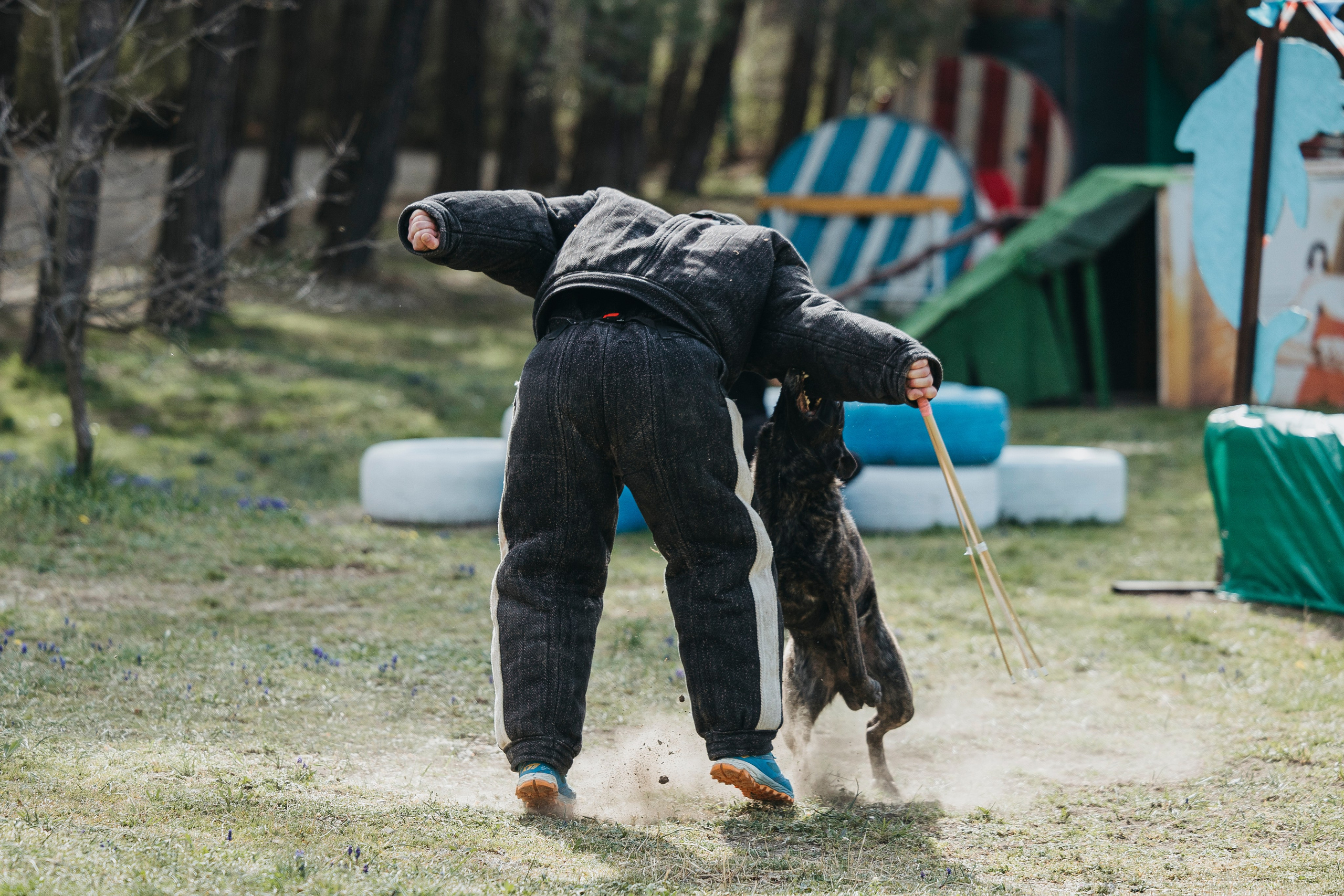 Геленджик Мондьоринг. Фотограф-анималист Анна Маринич
