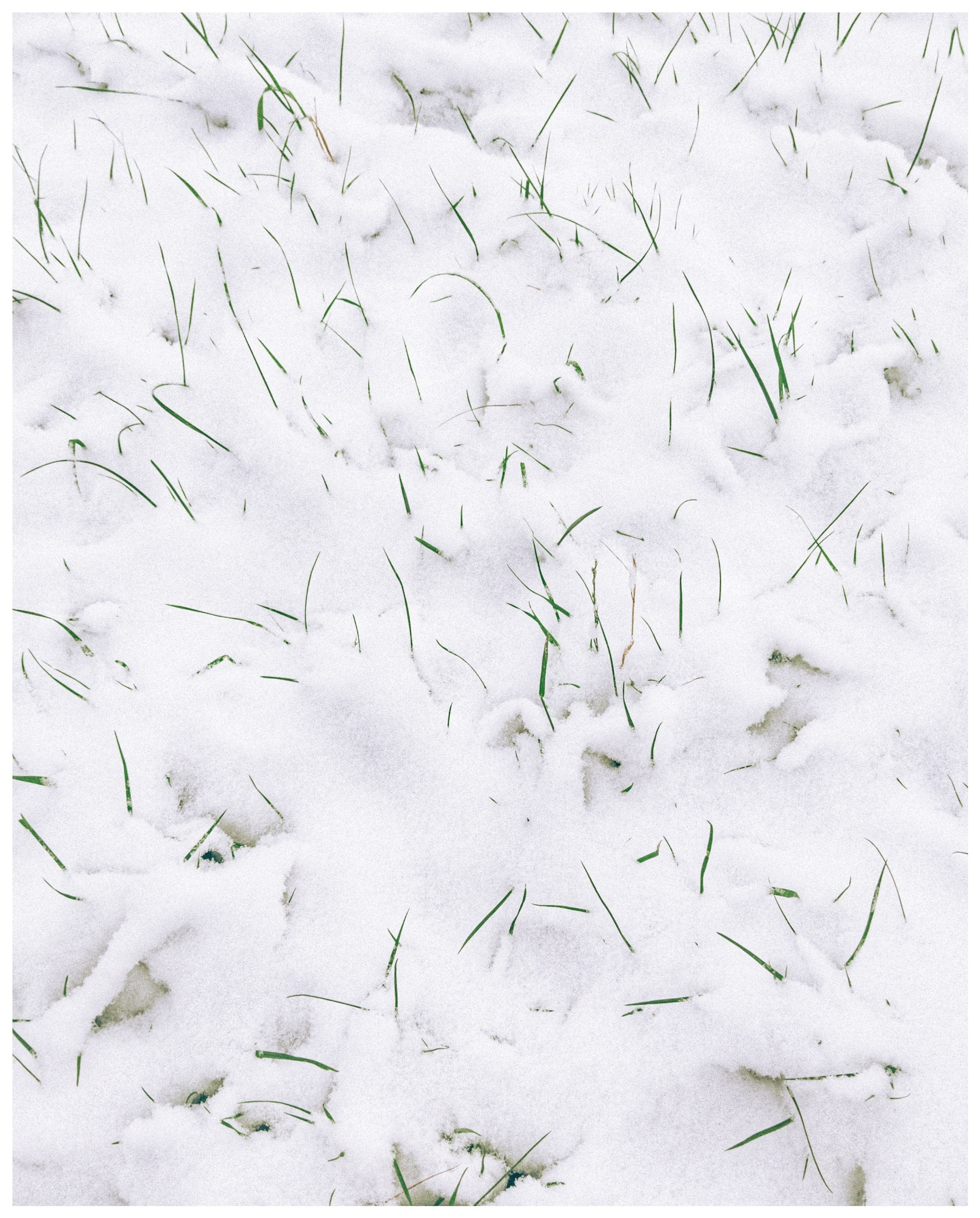 Мир повседневных Вещей. Репортажный и портретный фотограф, Влад Хафизов, Москва