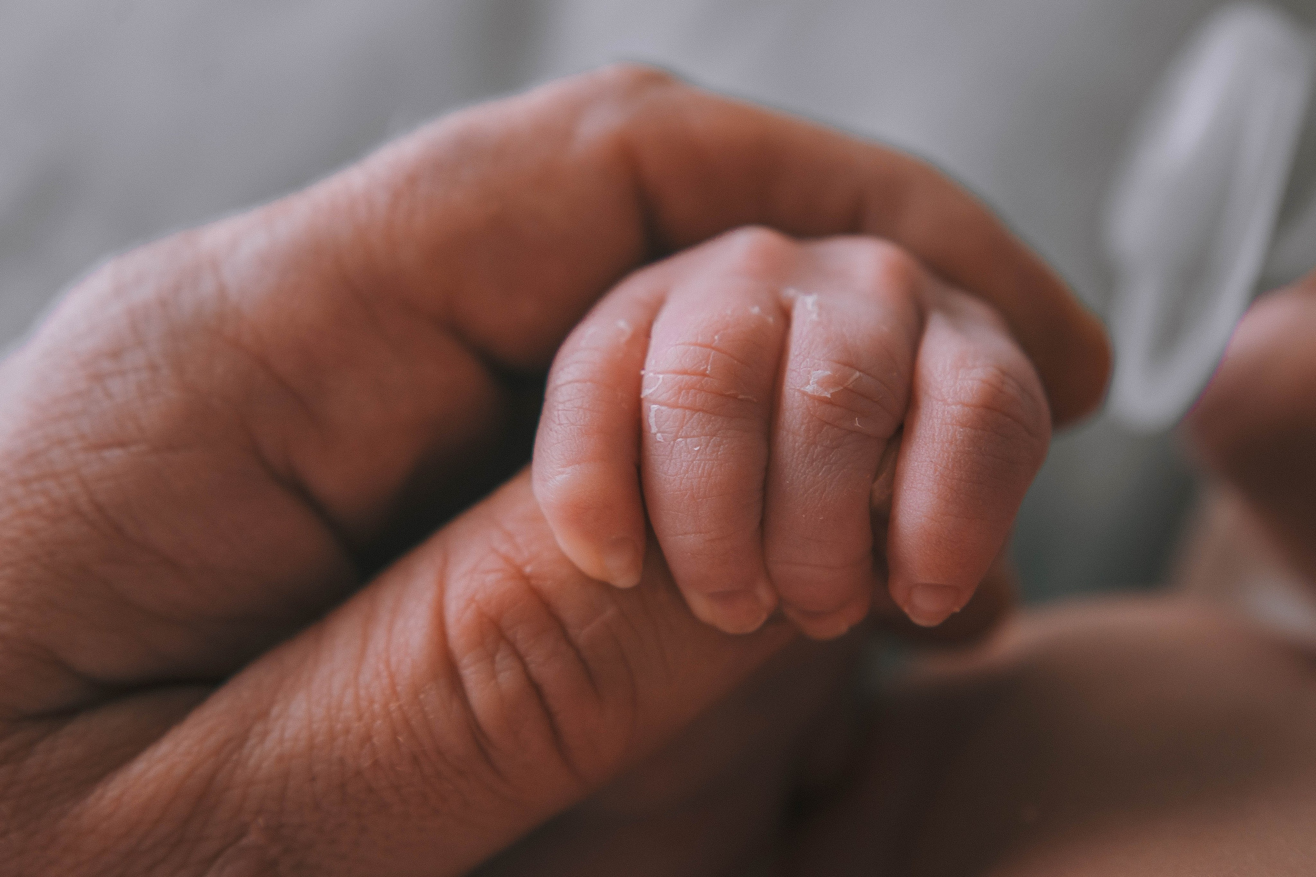 Доминик. NewBorn. Фотограф СЕМЬИ и ДЕТСТВА в Краснодаре и Краснодарском крае Екатерина Москат