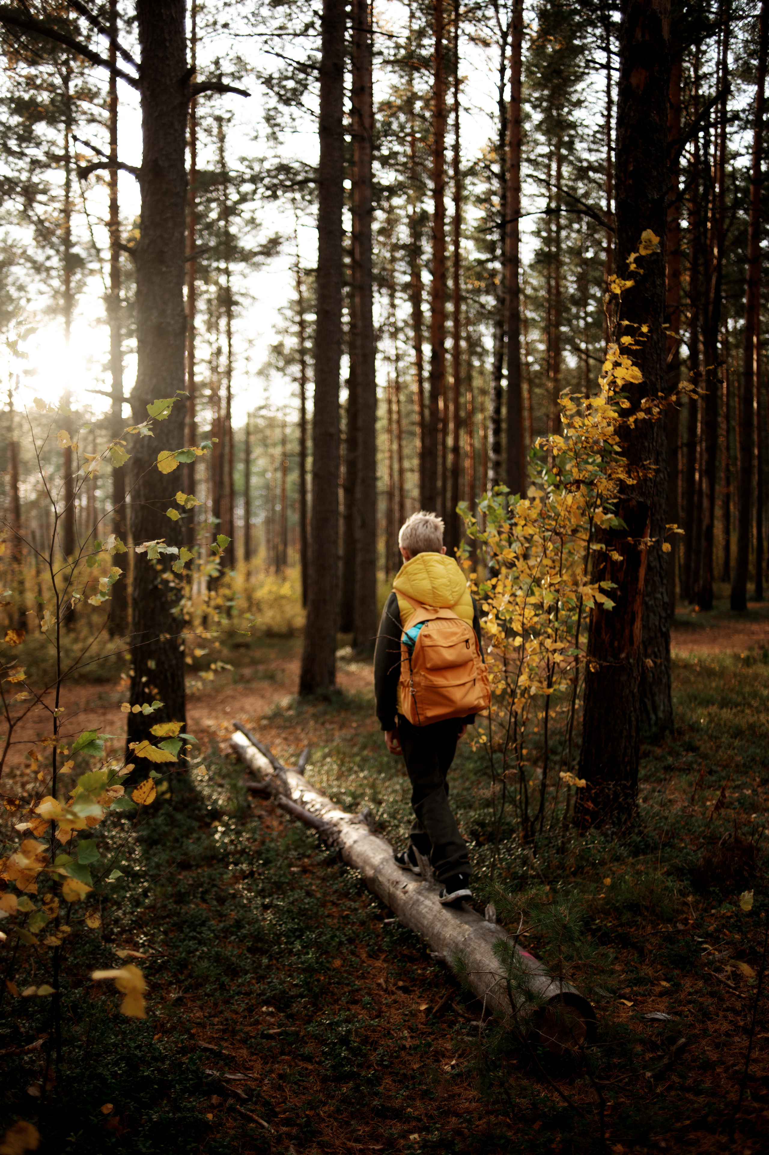 Boloto. Ваш семейный фотограф