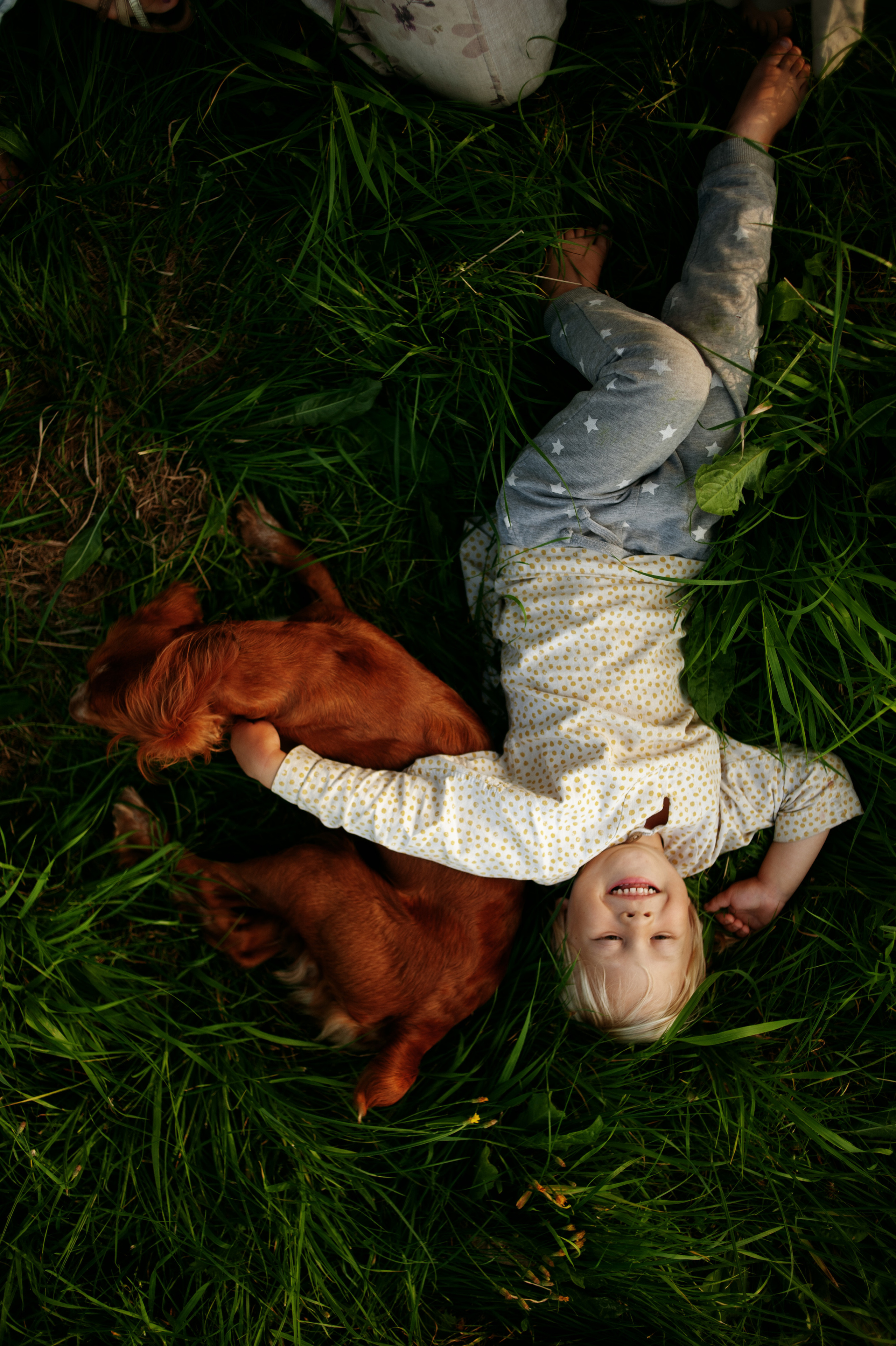 Пикник в городе. Ваш семейный фотограф
