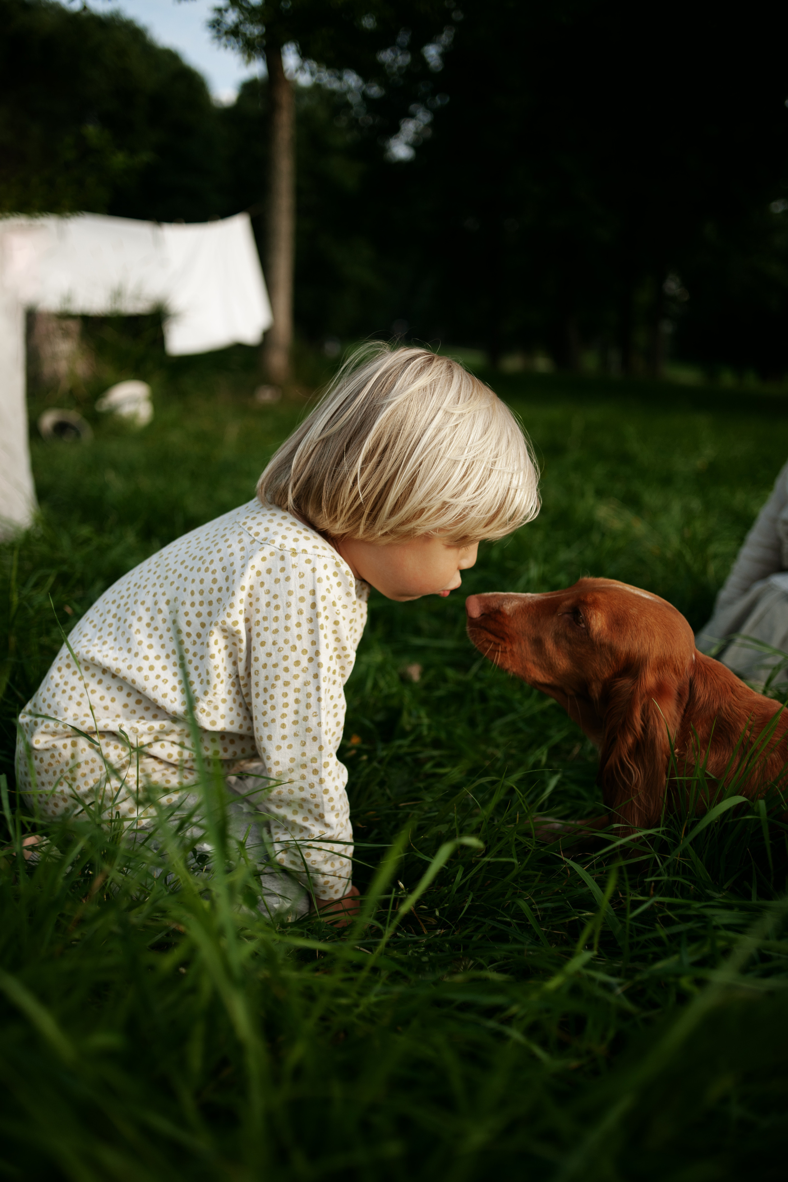 Пикник в городе. Ваш семейный фотограф