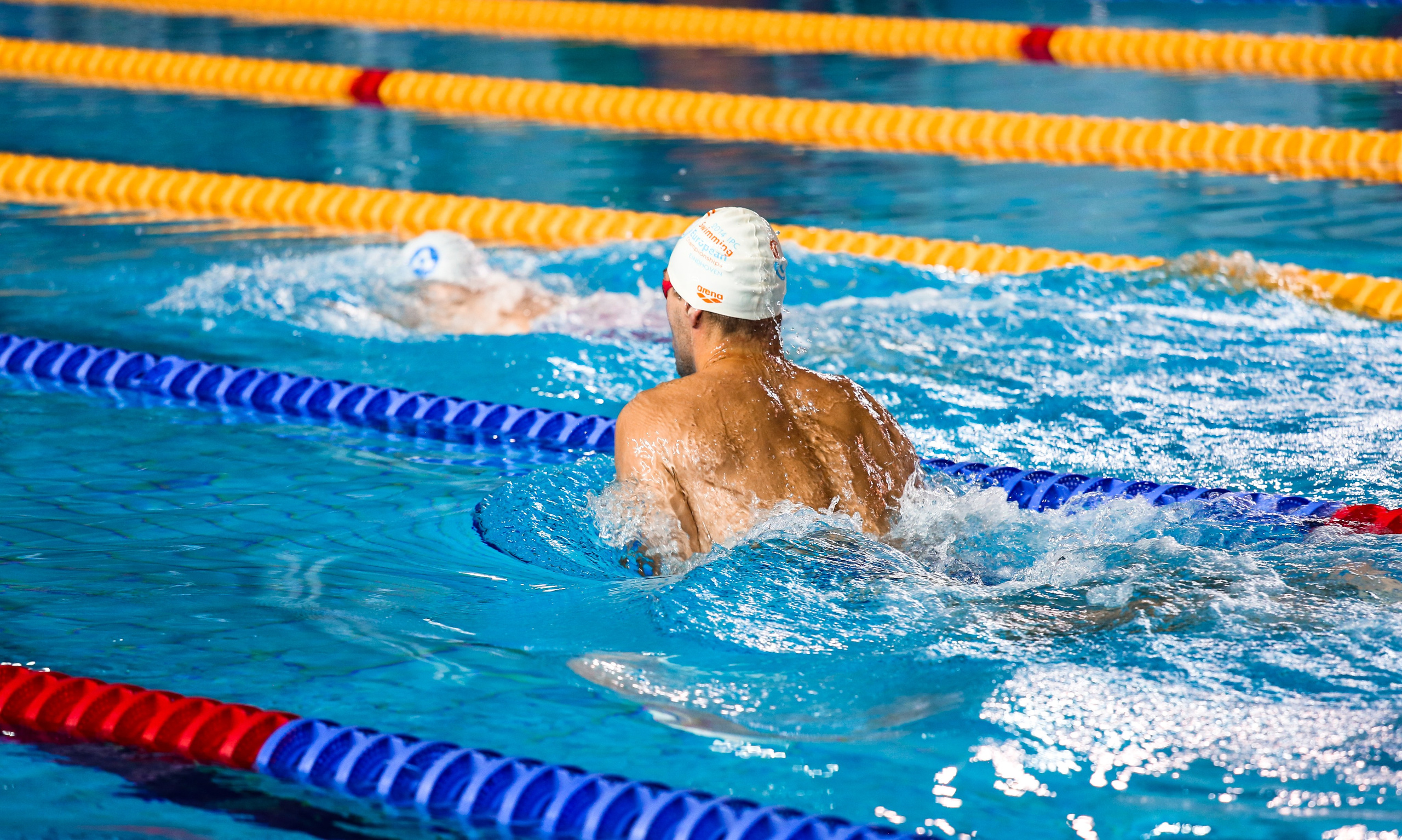 Соревнования по плаванию. Репортажный, семейный, свадебный, портретный фотограф