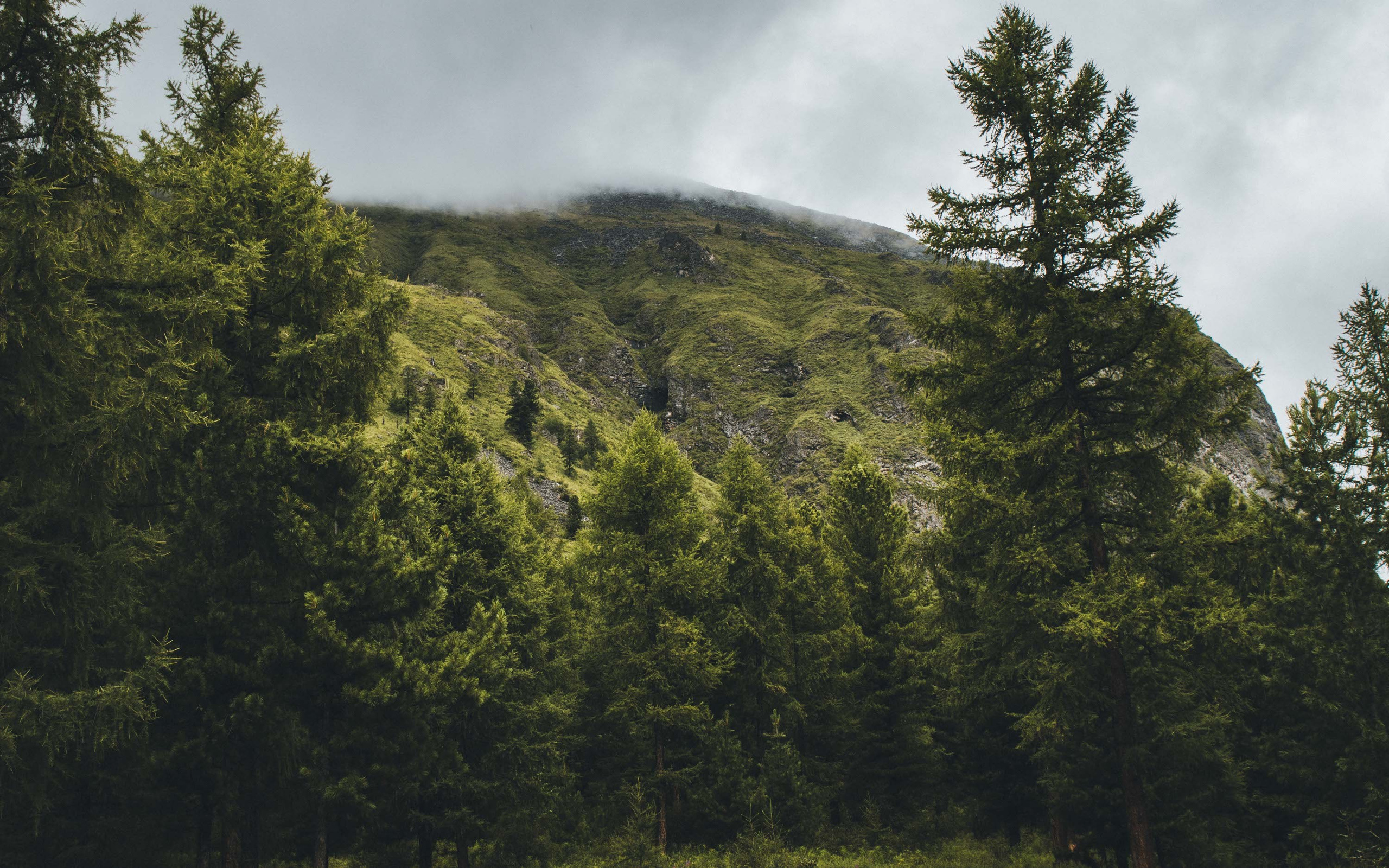ШУМАК. Фотограф Денис Рундин
