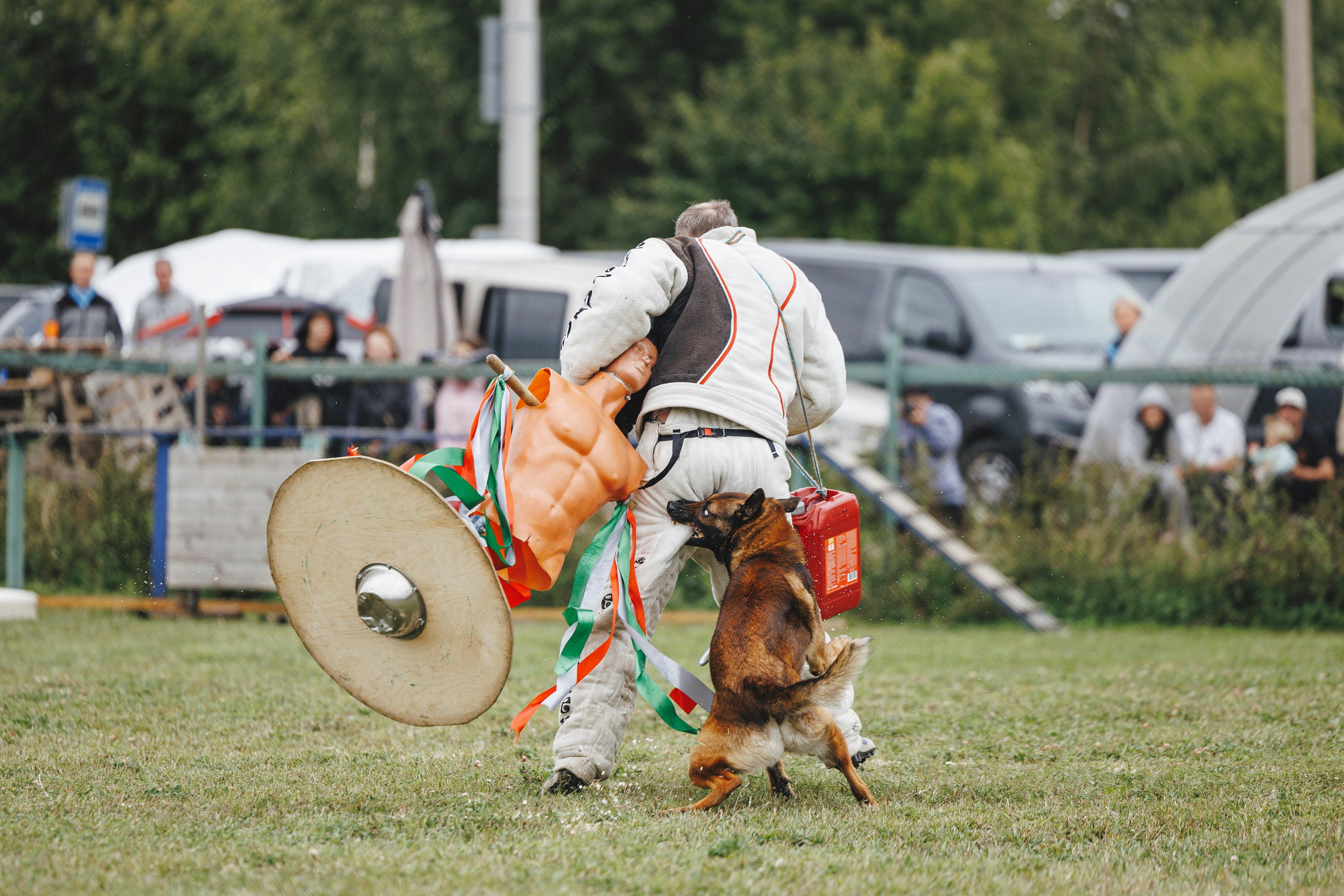 08.08.25-10.08.25 ЧР по мондьорингу г. Вологда. Фотограф-анималист Анна Маринич