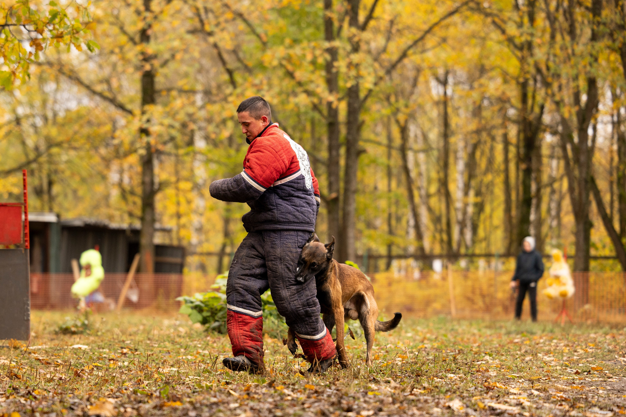 Соревнования по Мондьорингу г. Вологда. Фотограф-анималист Анна Маринич