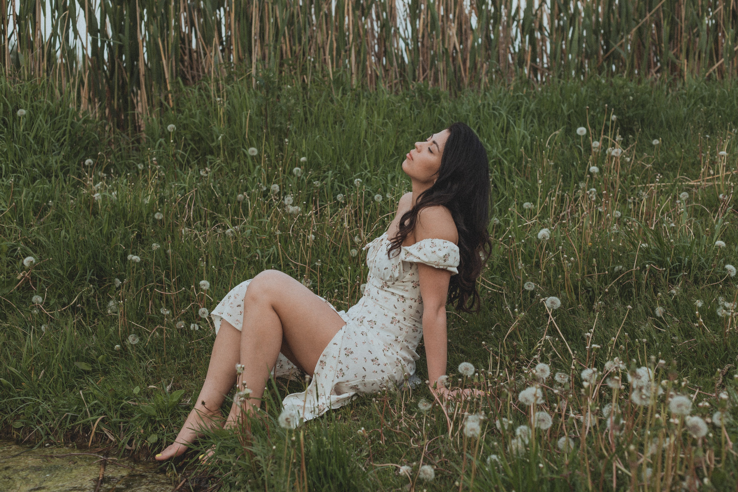 Поле. Фотограф Москва / Балашиха