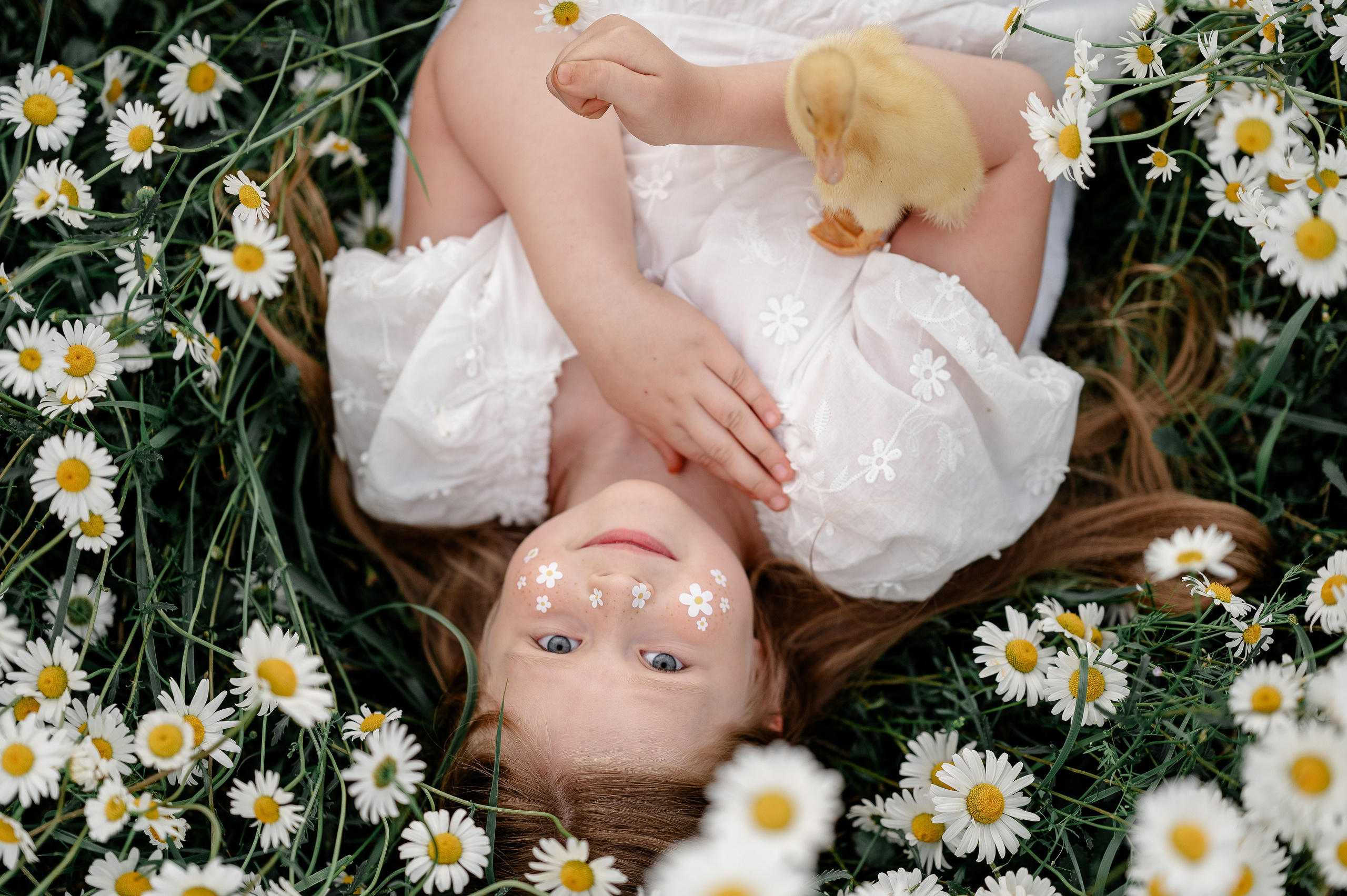 Поле ромашек. Фотограф Москва Екатерина Постникова Индивидуальные и семейные съемки