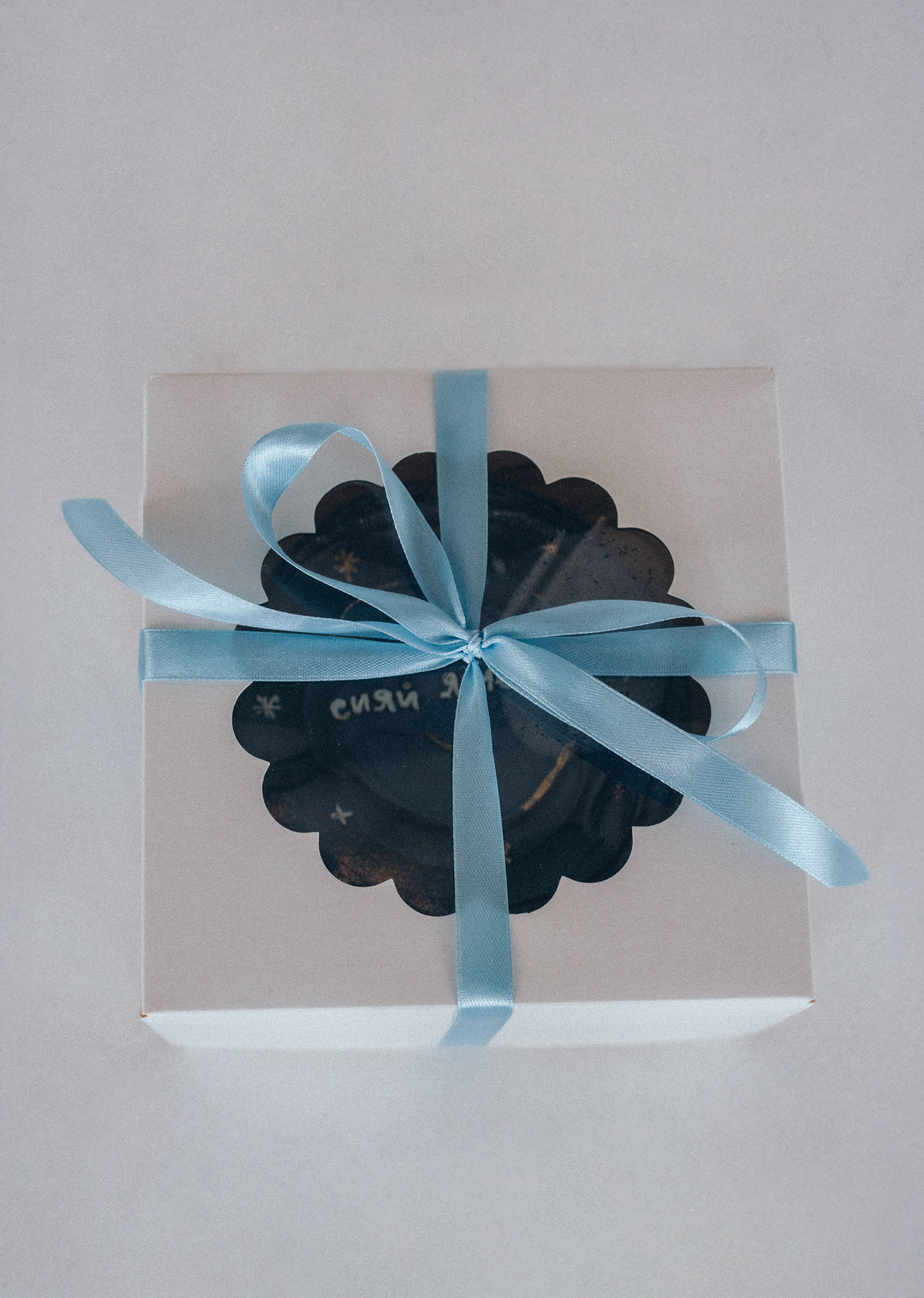 Эльмира Астроупаковка блога. Фотограф в Москве Ангелина Ким