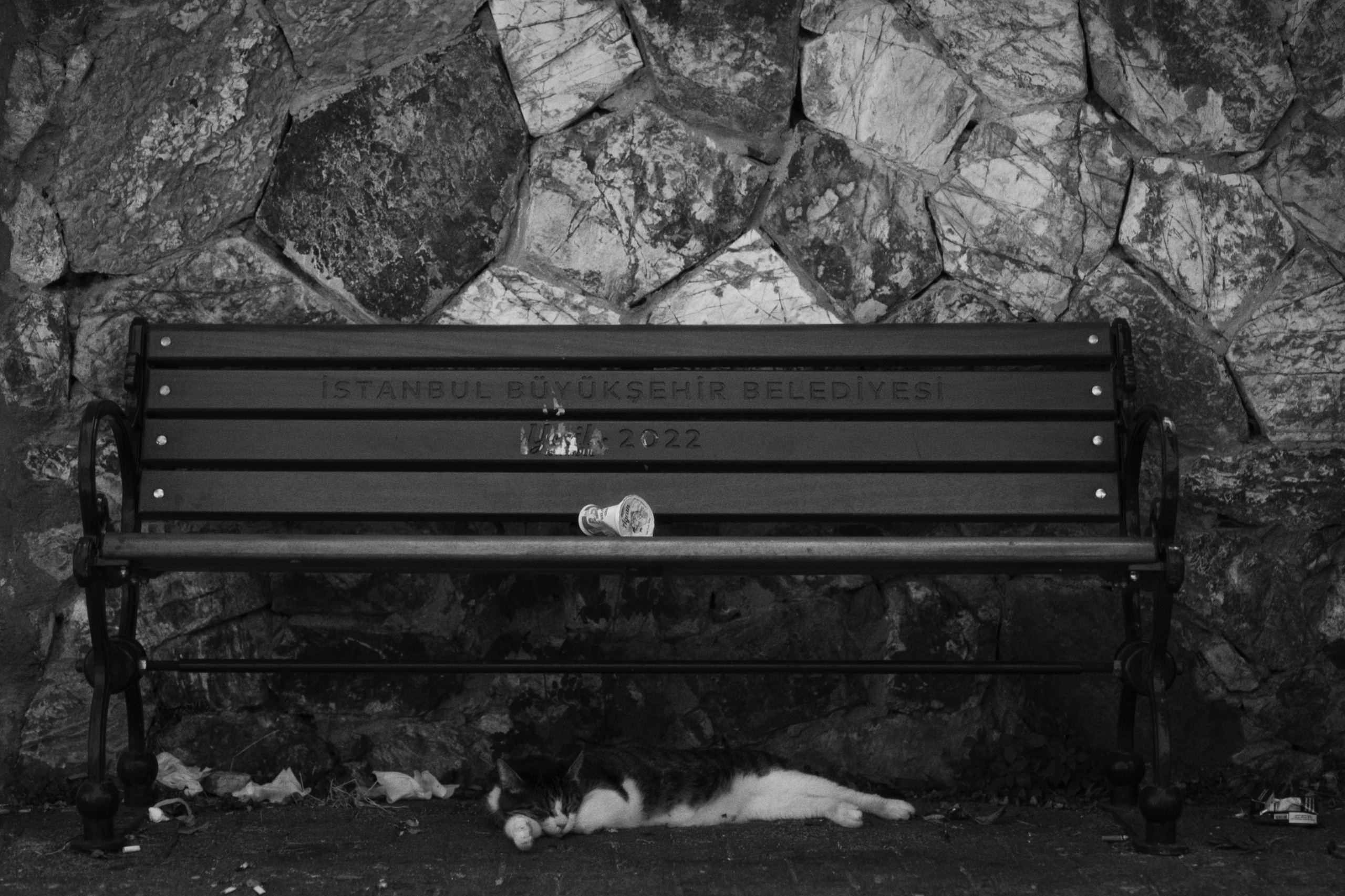 Büyükada х Heybeliada, Istanbul / Türkey SS25. Фотограф Юрин Евгений