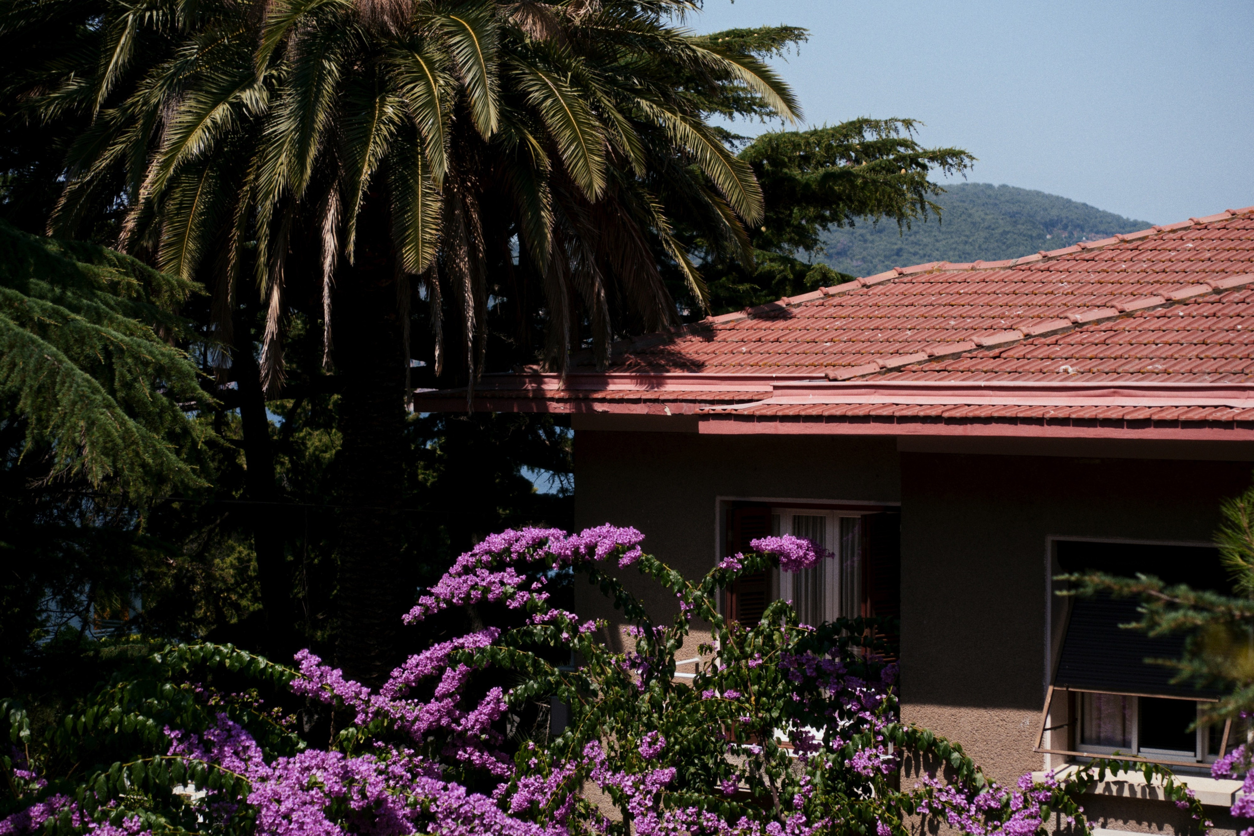 Büyükada х Heybeliada, Istanbul / Türkey SS25. Фотограф Юрин Евгений