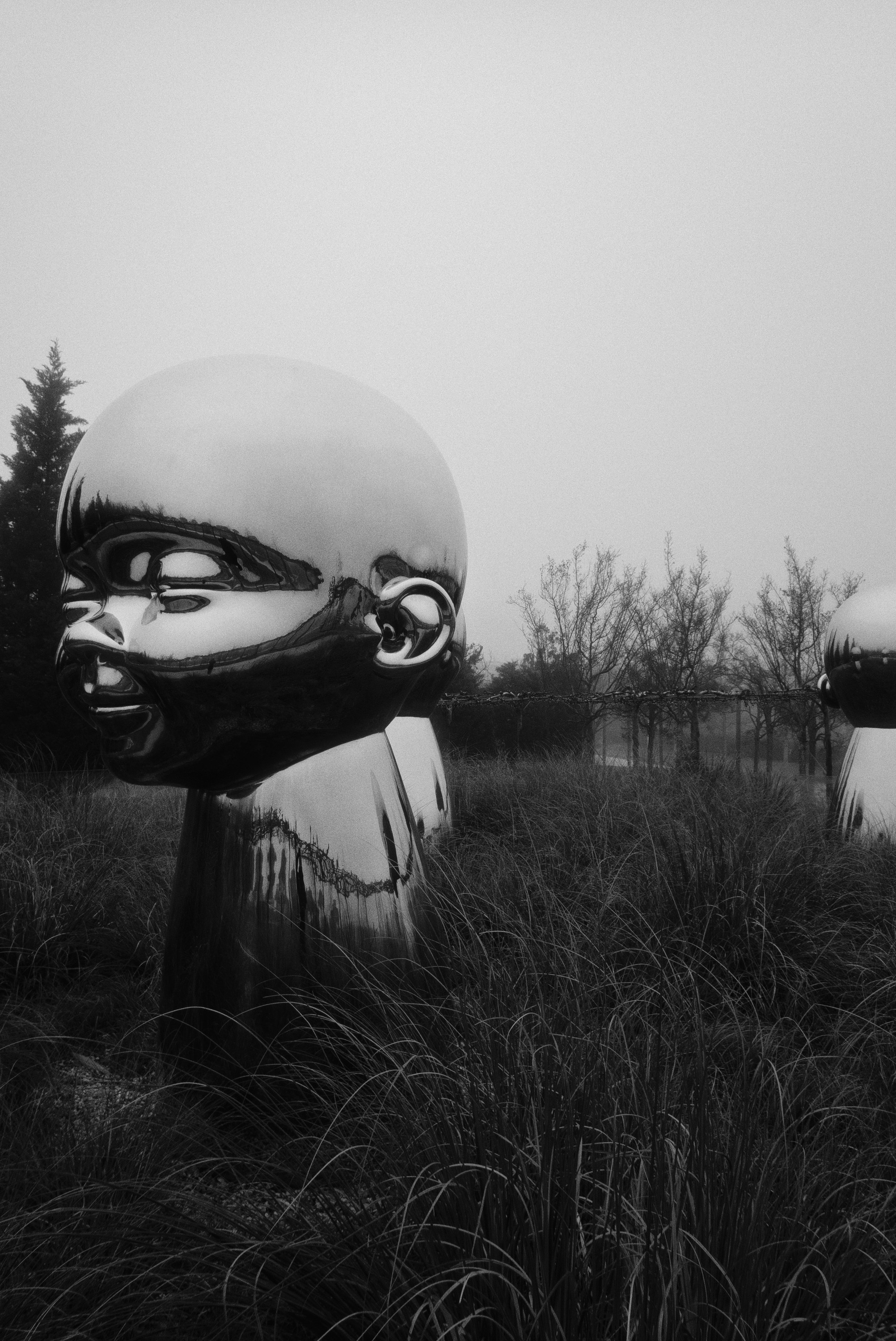 OM-System Tough-7 / Park Krasnodar (darkness). Фотограф Юрин Евгений