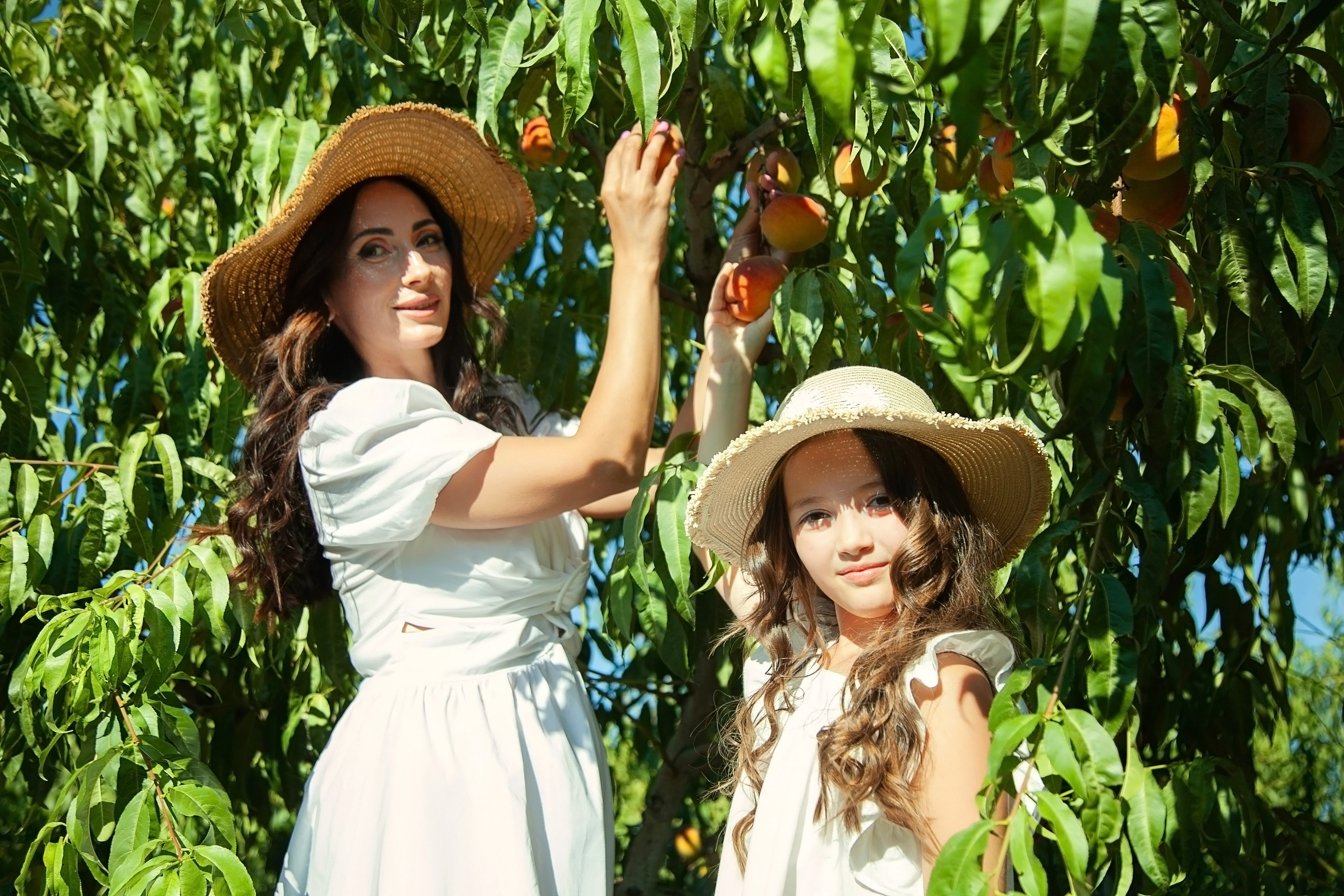 ВИНОГРАДНИКИ. Фотограф в Крыму