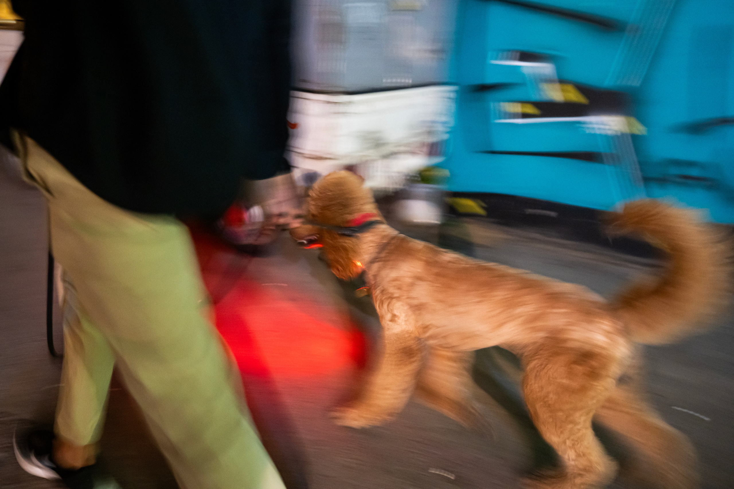 Dimitri Bakhtadze, colour photos. Dimitri Bakhtadze photographer