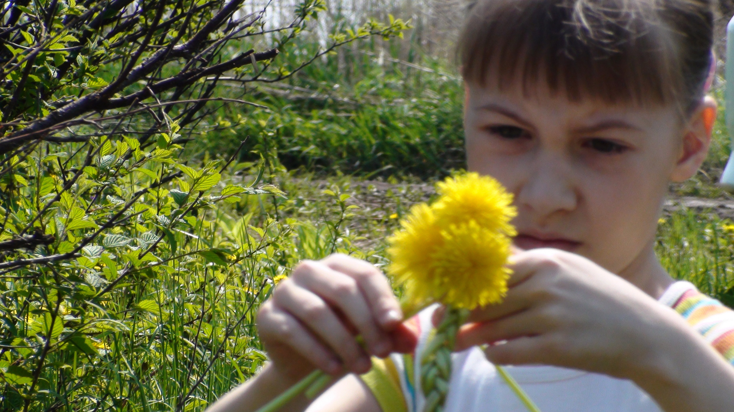 Дача 07.06.2009. Семейный, Свадебный фотограф СПБ Питер— Романова Екатерина