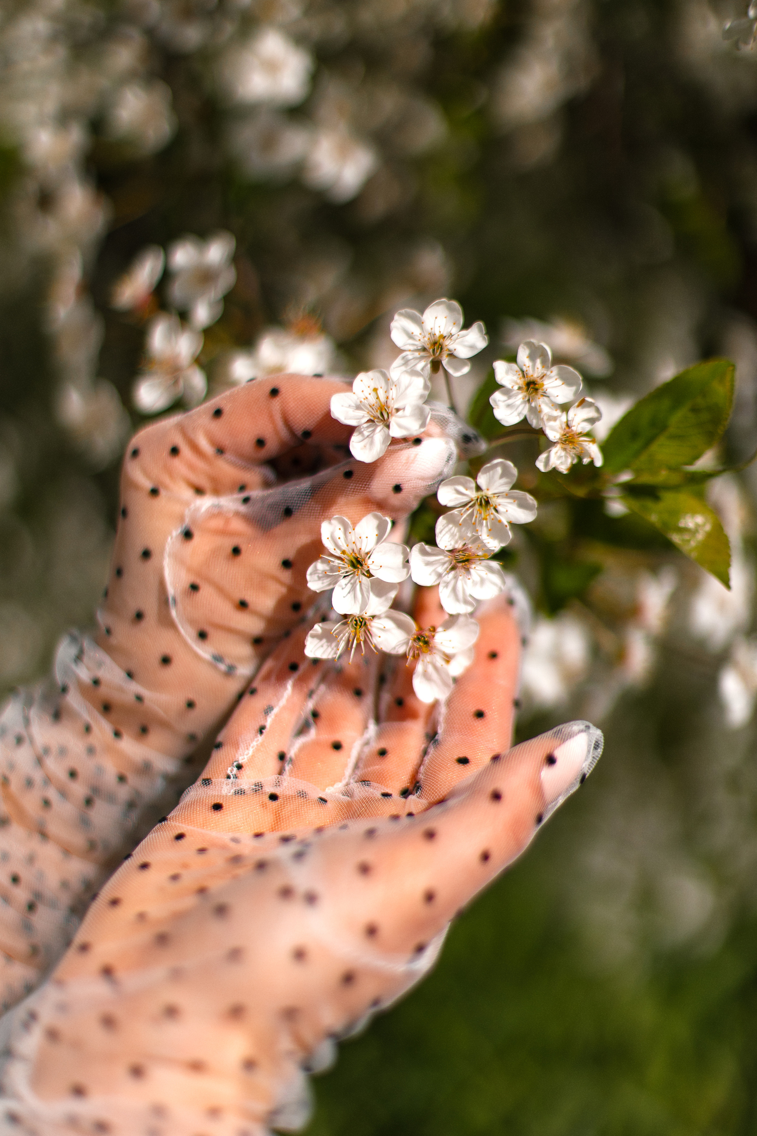 POLINA. Фотограф в Санкт-Петербурге Екатерина Микитюк