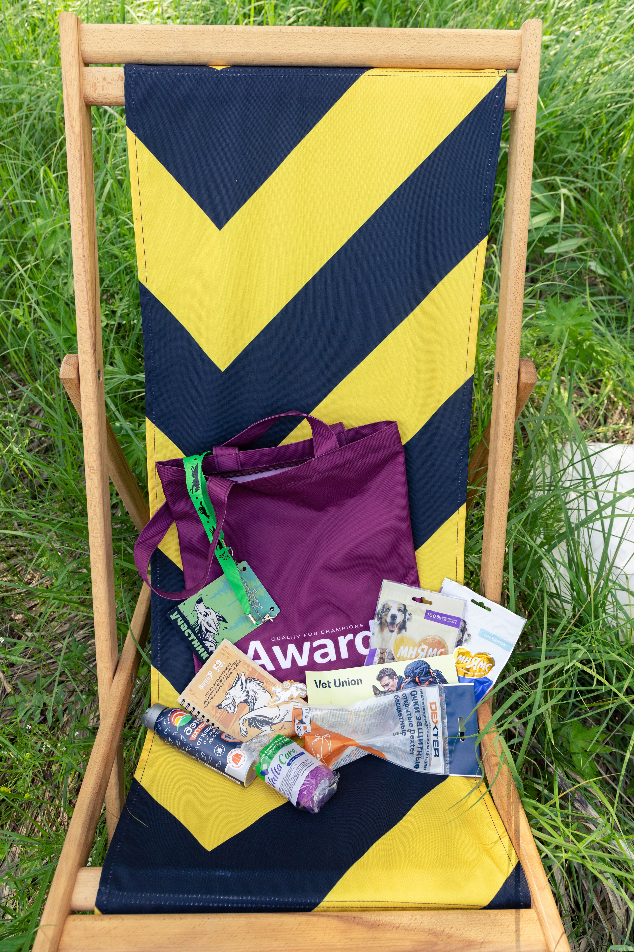 ДПСО «ЛизаАлерт». Главная