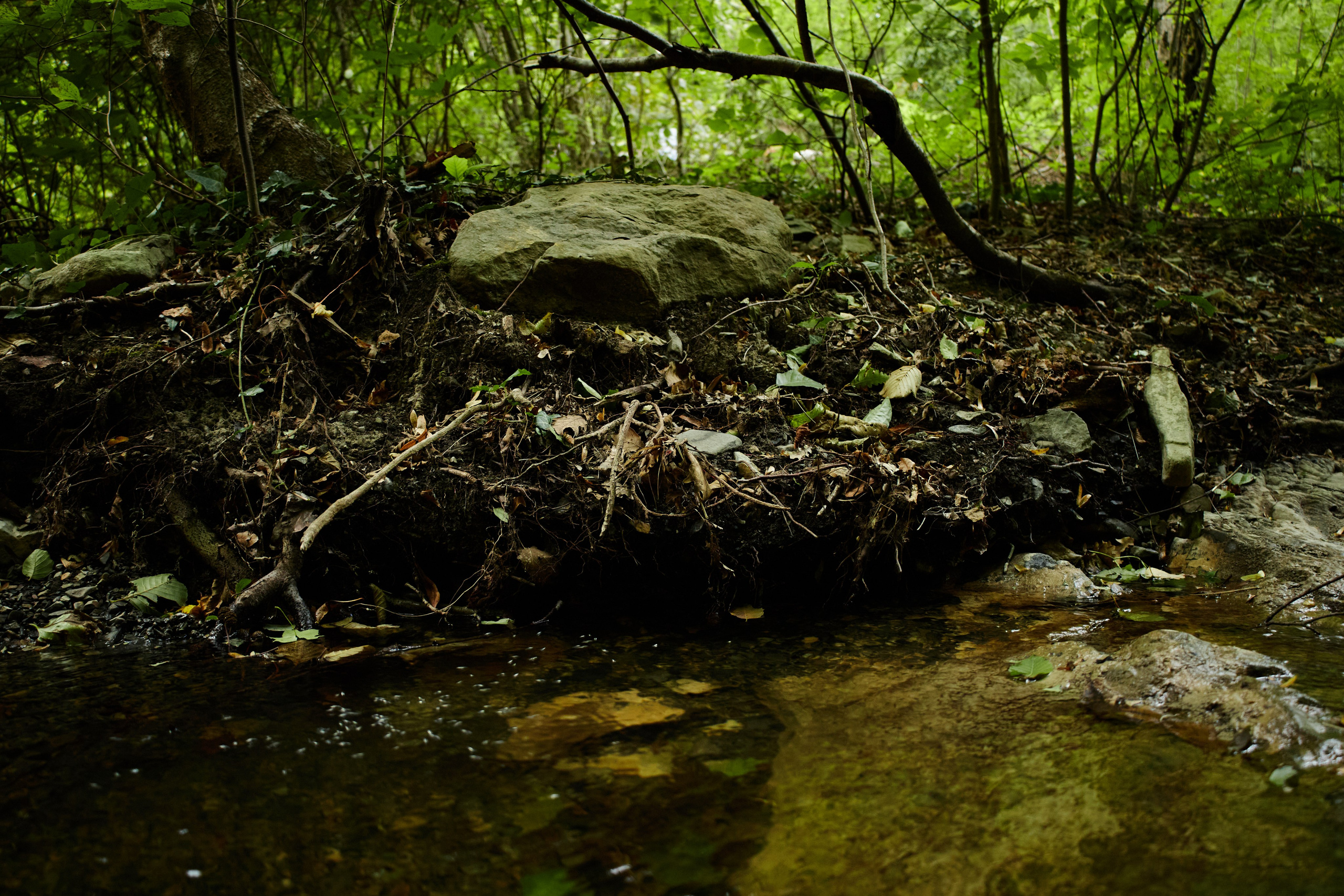 Пейзажи и уличная съёмка