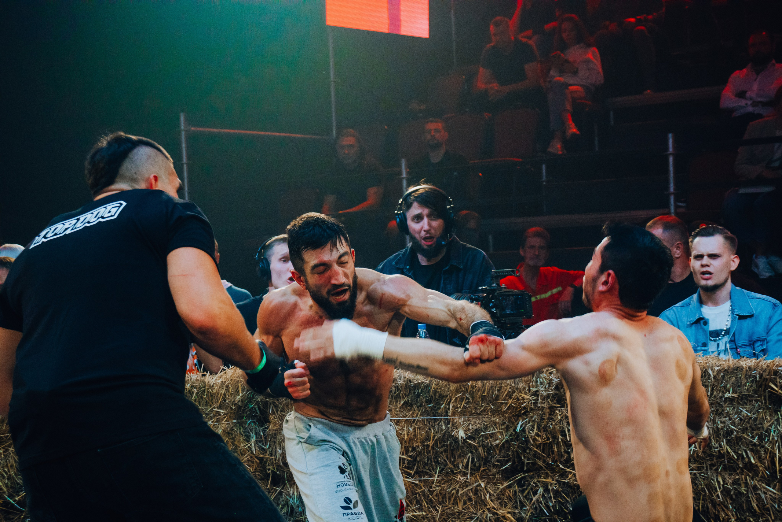 Кулачные бои TopDog. Анастасия Тен