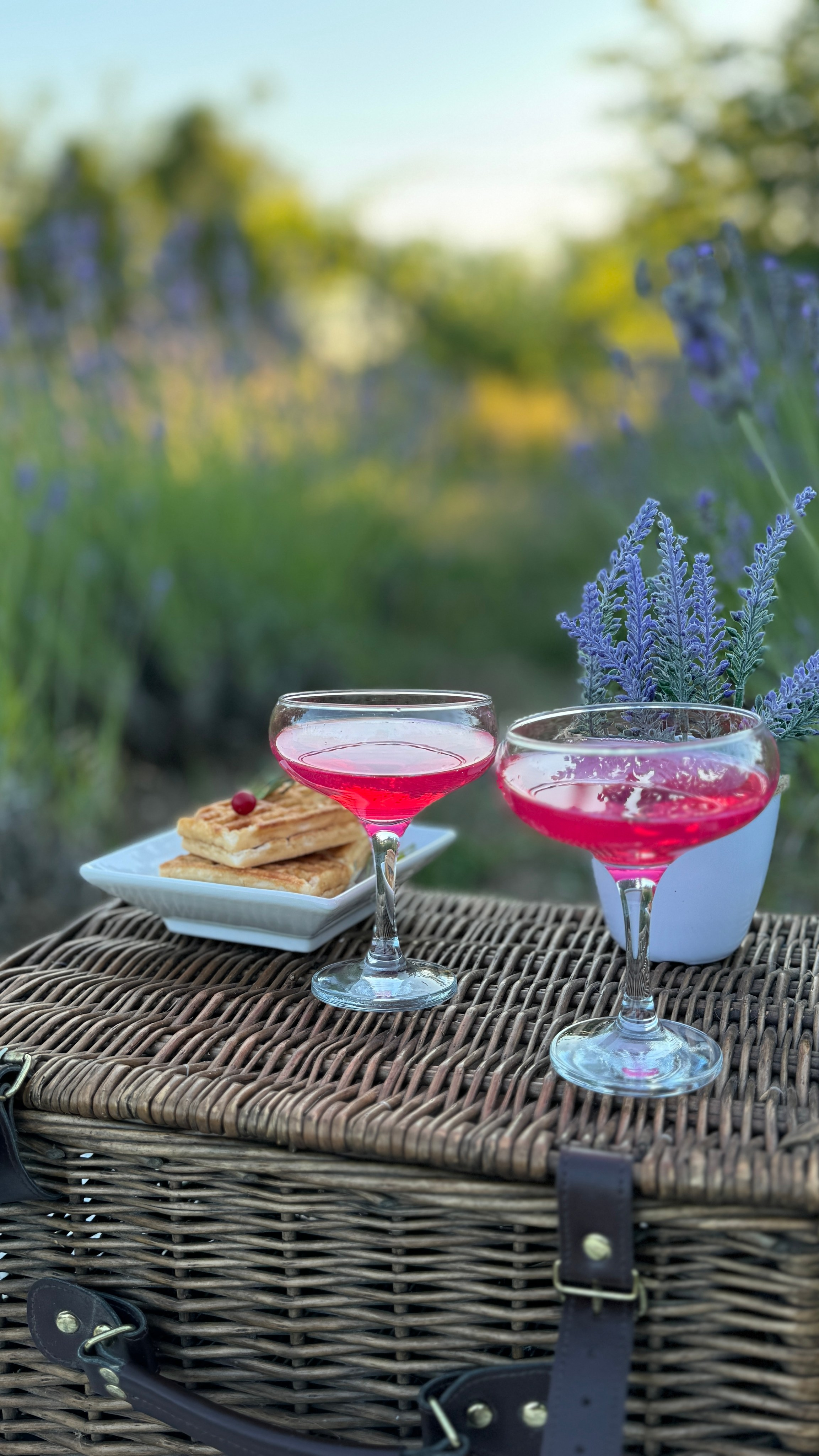 Пикники. Фотостудия Натальи Забродской