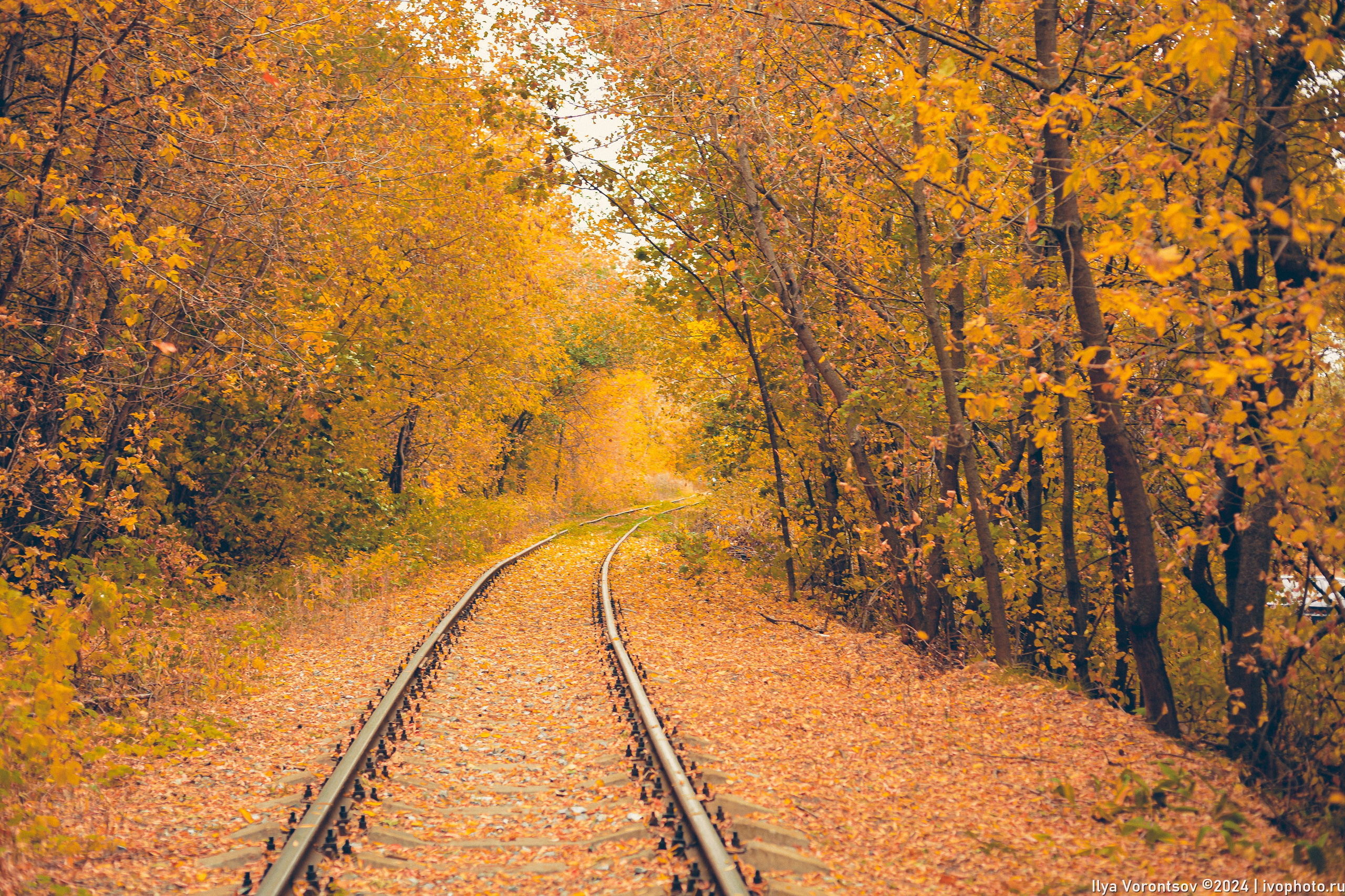 Фотодень «Осенняя Меланхолия». Фотограф в Казани Воронцов Илья