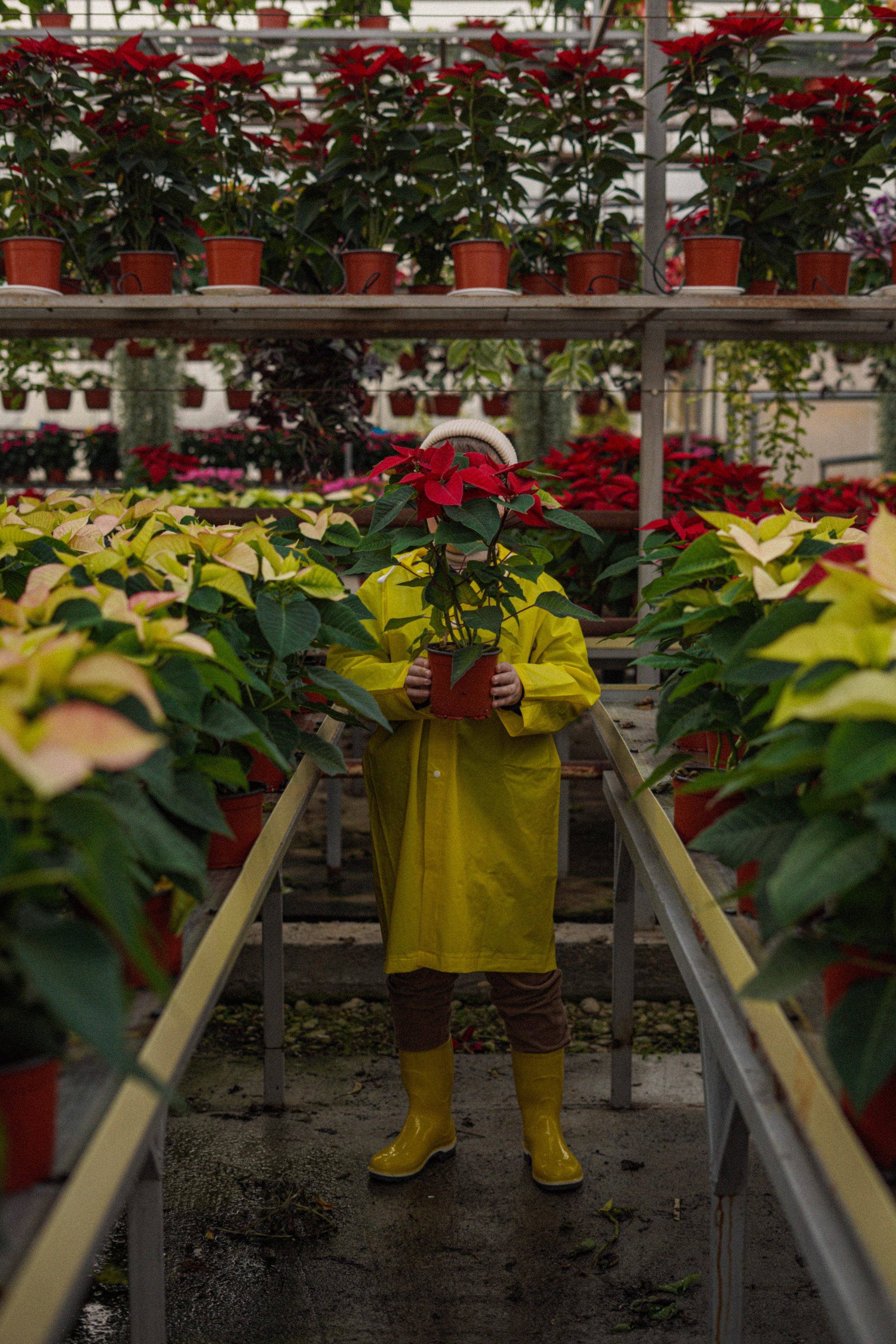 Осень и ее прелести. Свадебный и семейный фотограф Афанасьева Анна в Кисловодске
