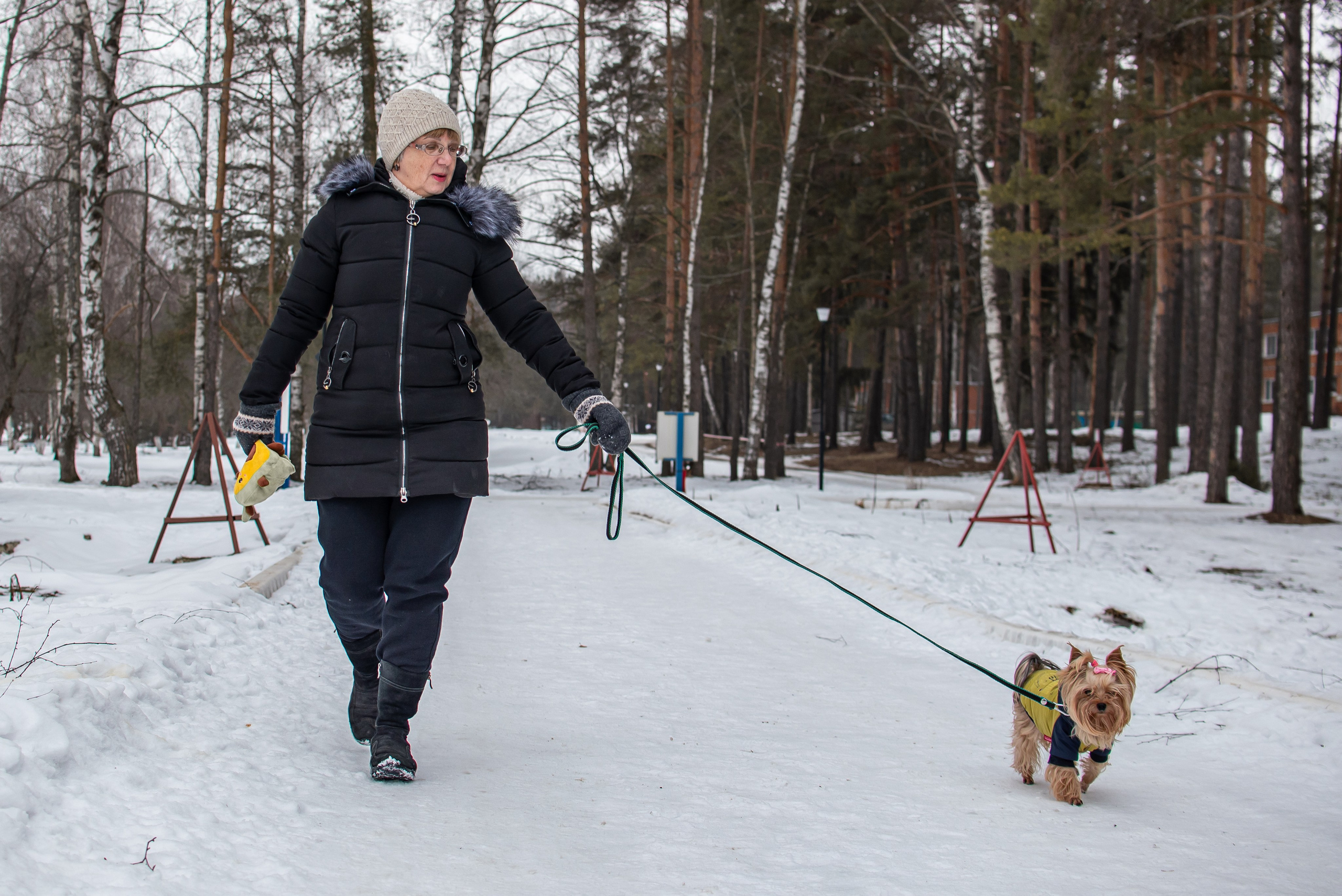 Фотосъёмка с собаками в Кинологическом лагере. Фотограф Макс Огурцов в Нижнем Новгороде