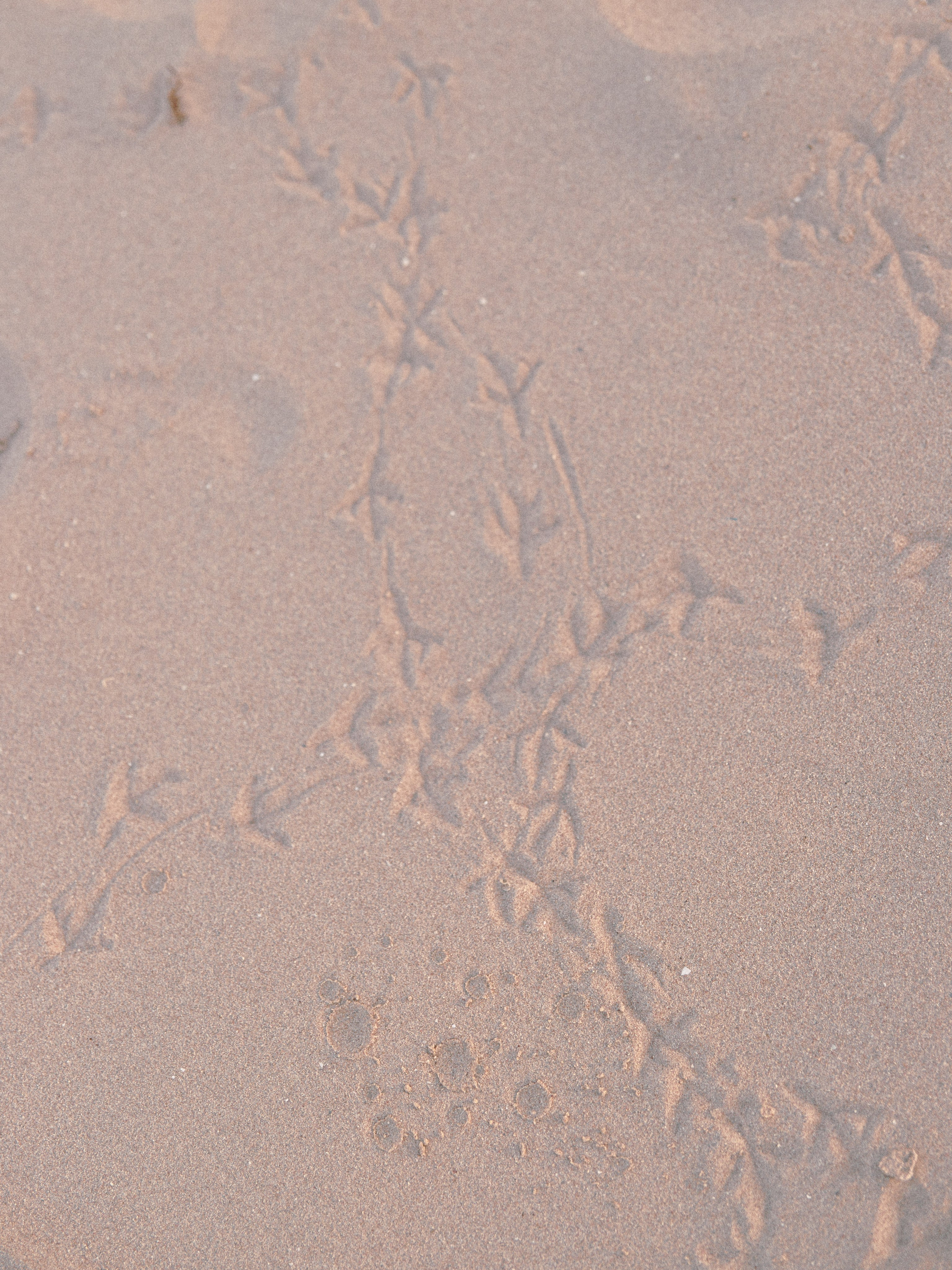 Природа. Jorgis Talè — photographer, kind person, teacher of arts and other mag