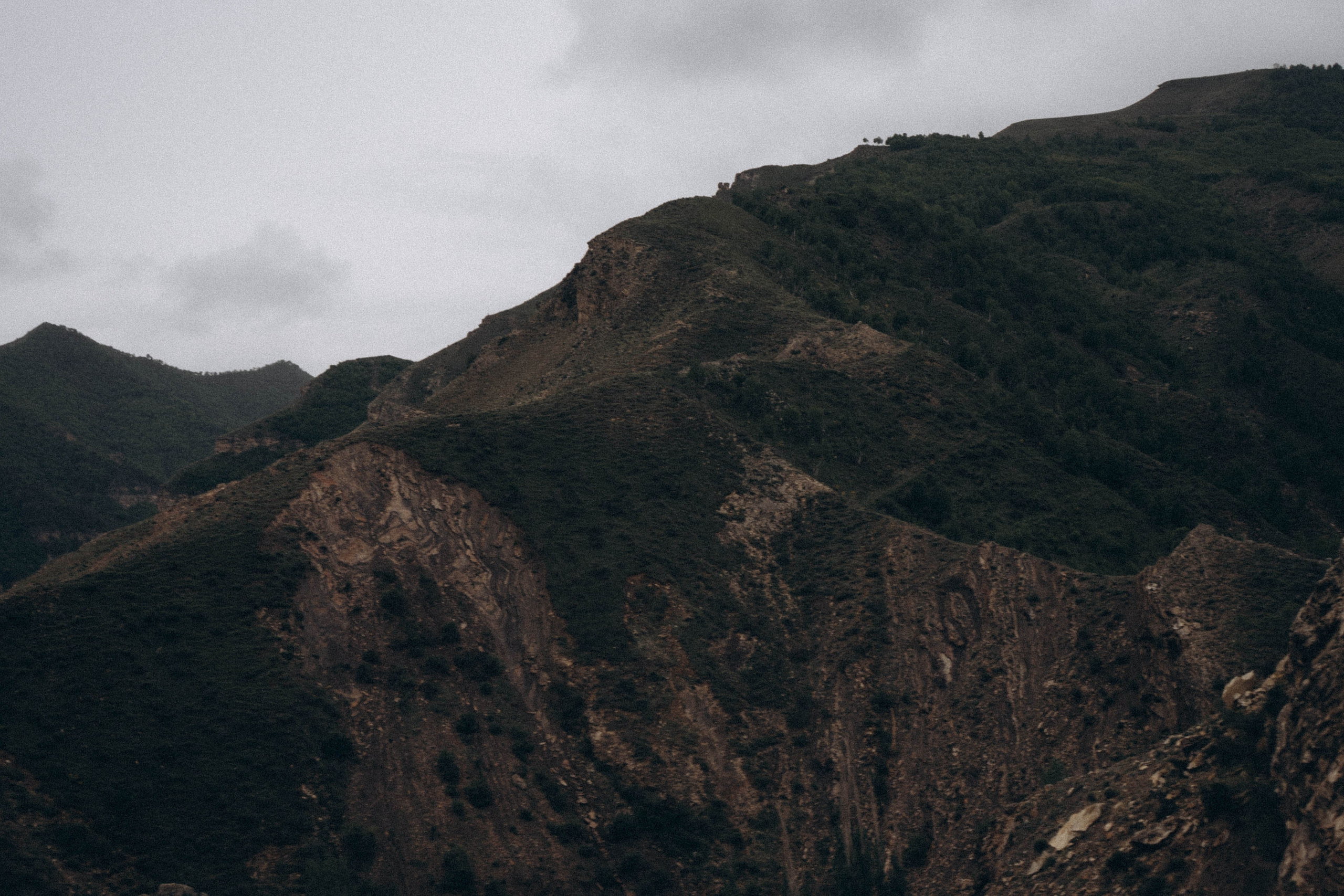 Кавказ. Профессиональный фотограф, Санкт-Петербург — Виктория Богомолова