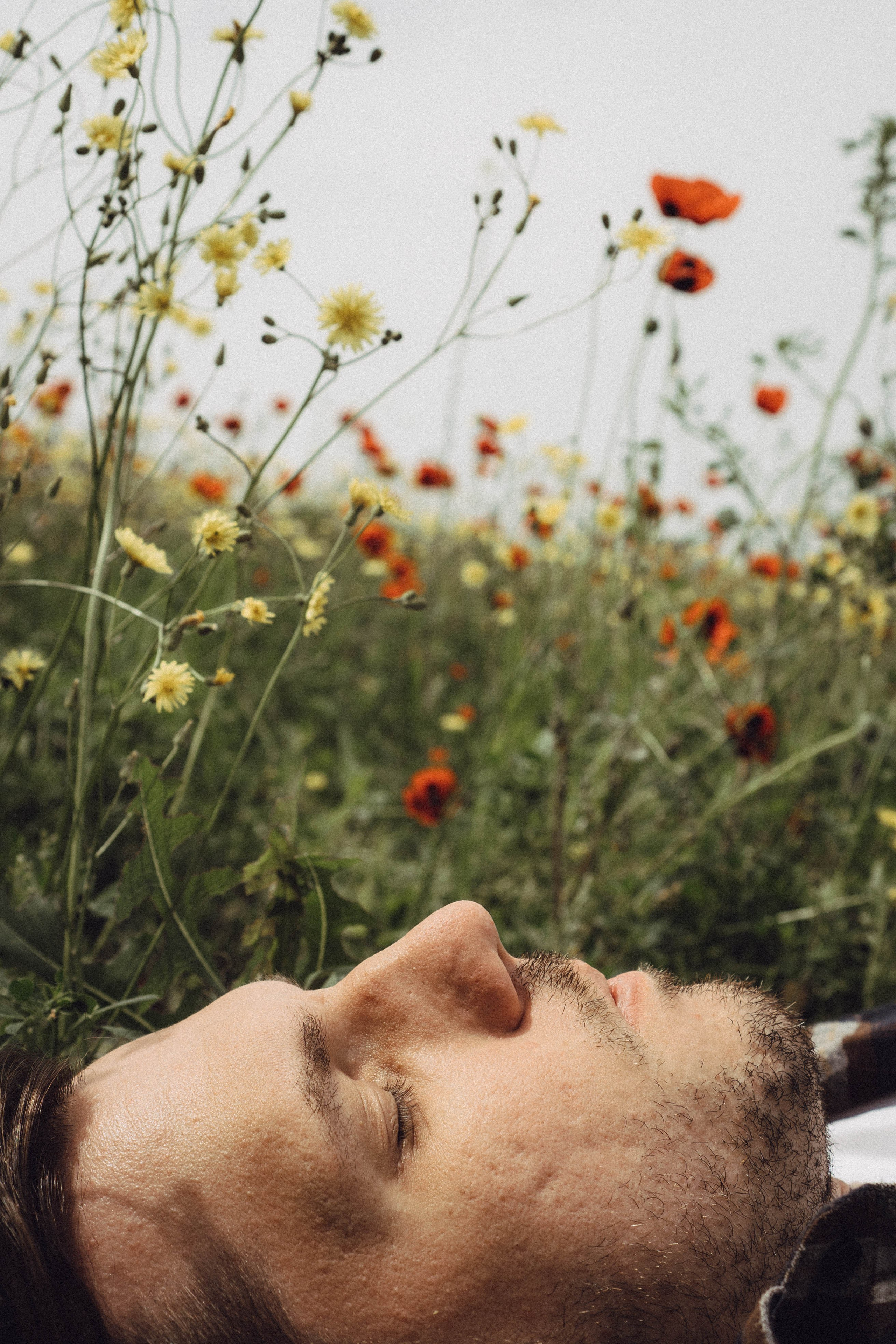 Маки. Профессиональный фотограф, Санкт-Петербург — Виктория Богомолова